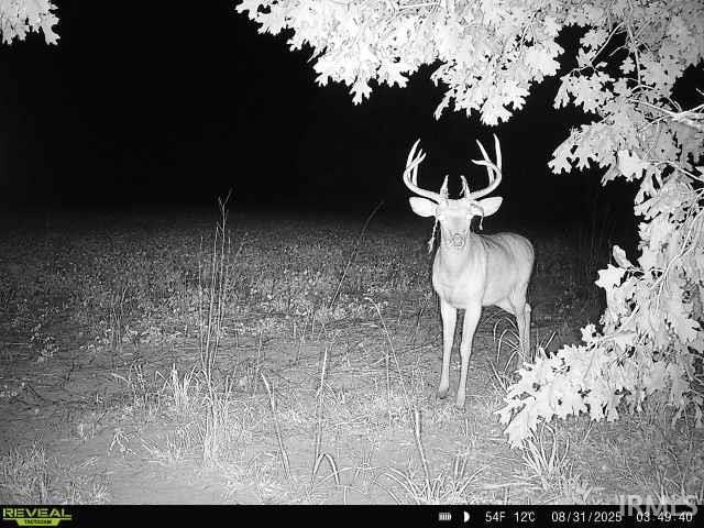 Homes for sale in Knox, IN | 100 N 600 E, Knox, IN 46534 | MLS# 202534154