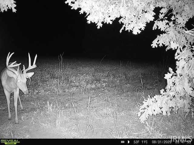 Homes for sale in Knox, IN | 100 N 600 E, Knox, IN 46534 | MLS# 202534154