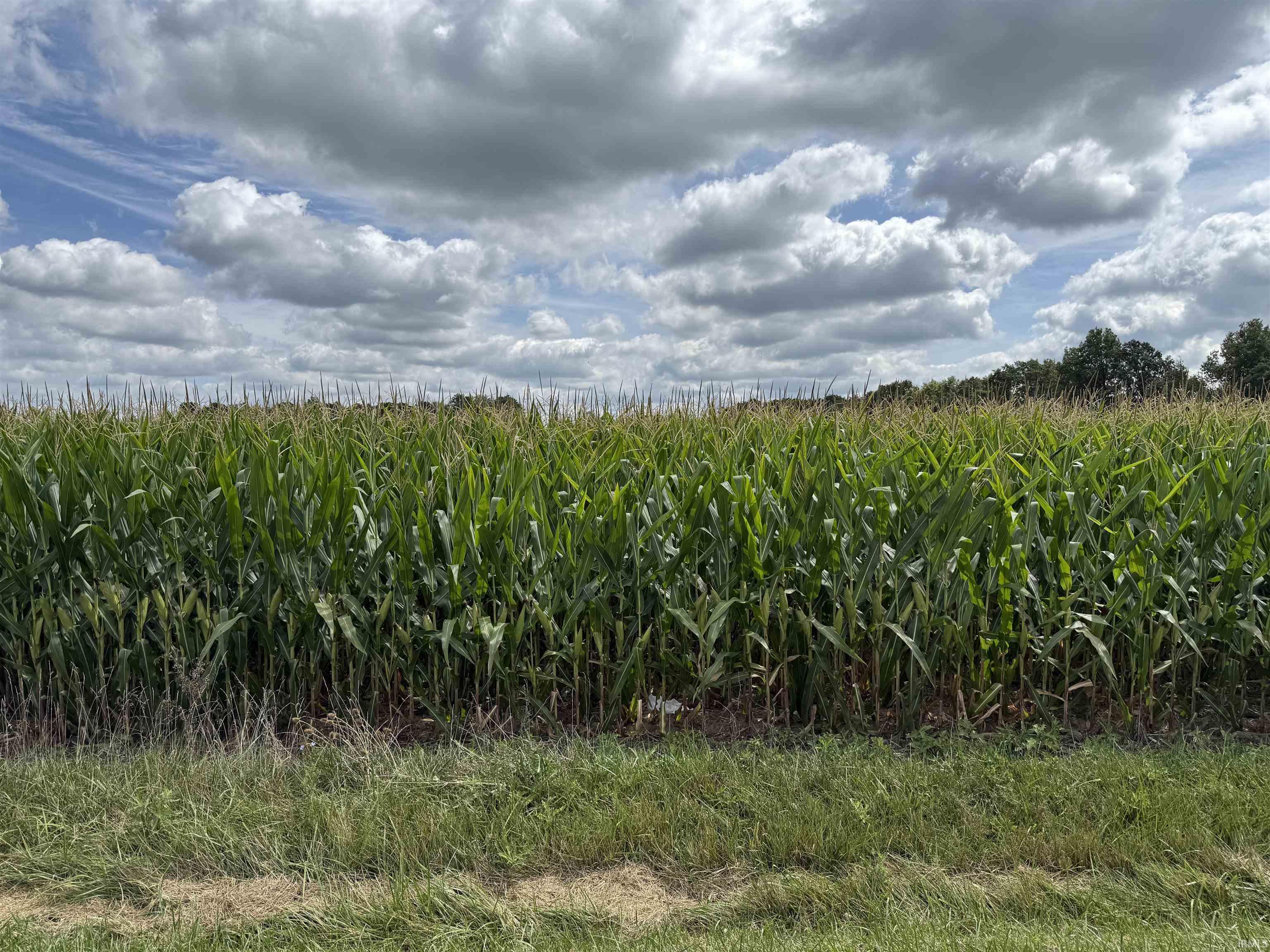 Photo 1 of N 300  E Road