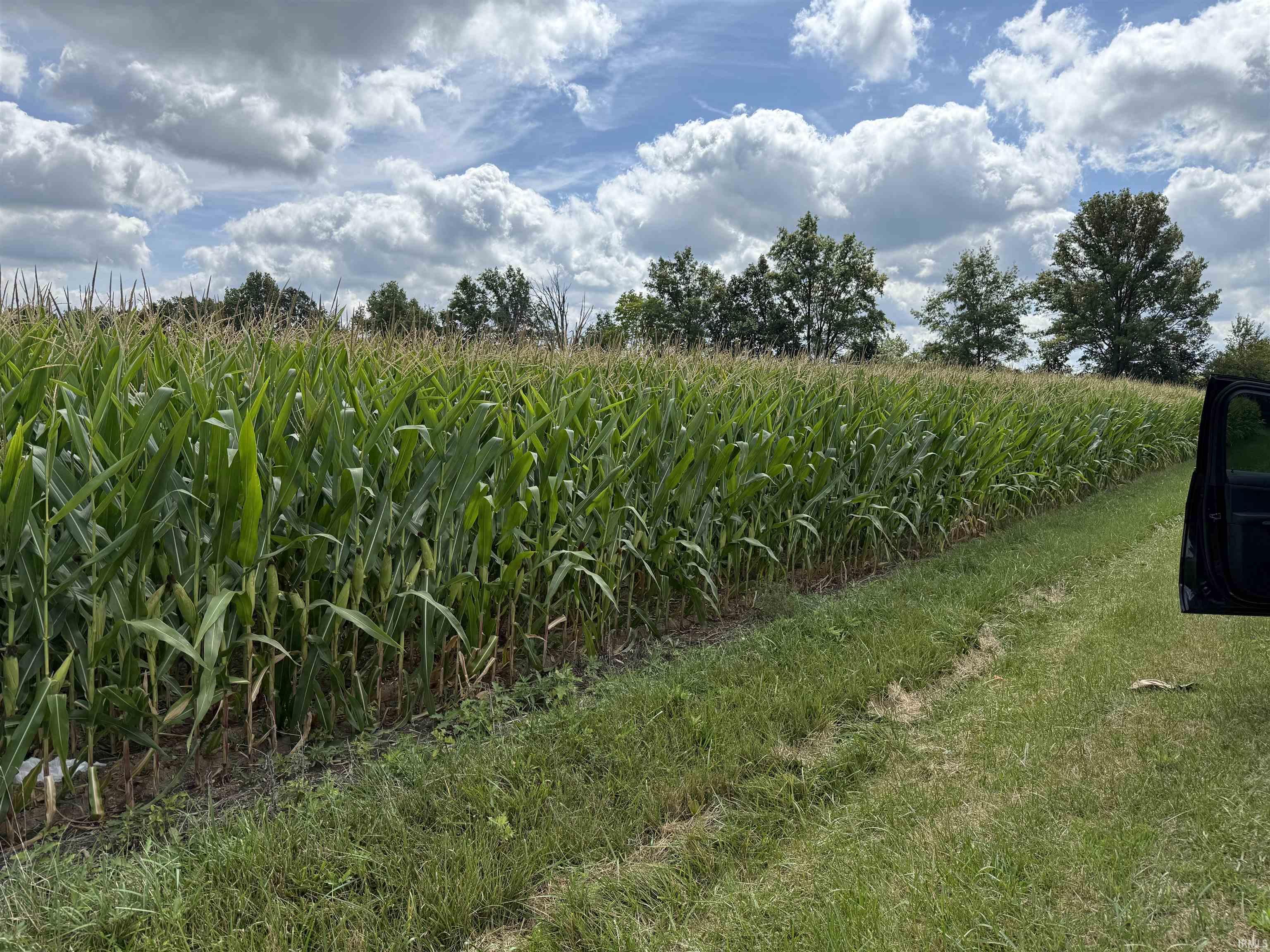 Photo 3 of N 300  E Road