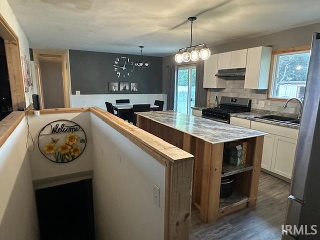 Photo 11 of 24710 Aric Way