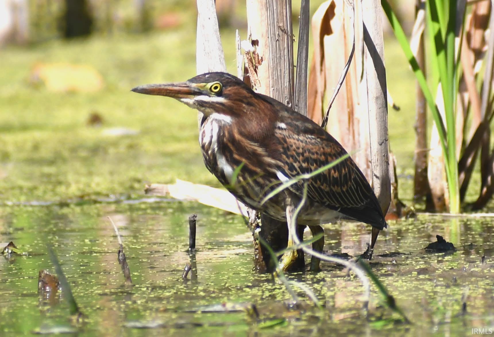 Photo 9 of State Road 1 and CR 64 Road
