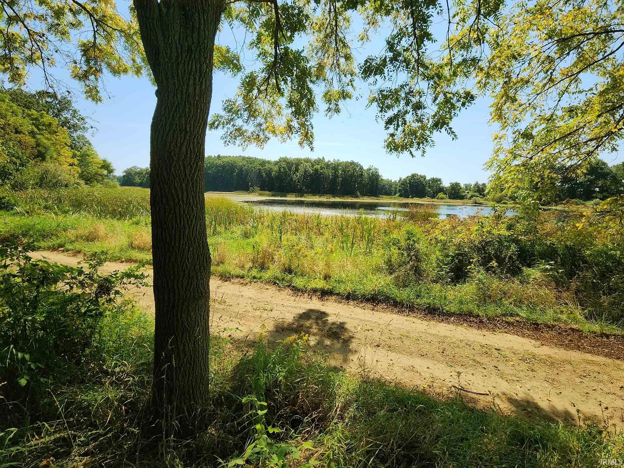 Drive Path to Lodge along woods, fields, and lake is approx 9/10s mile; this view looking south to Lake from north shore. (Area 3 - Drive looking south on north side of lake.)