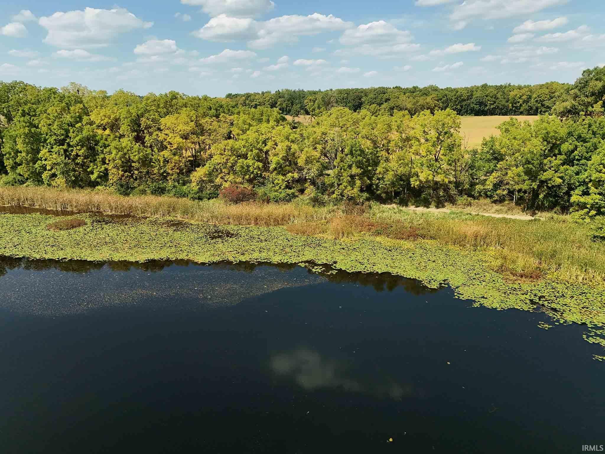 The drive along the West Bay's north shore borders higher ground on way to the Lodge. This is in Area 3 of Reference Sheet.