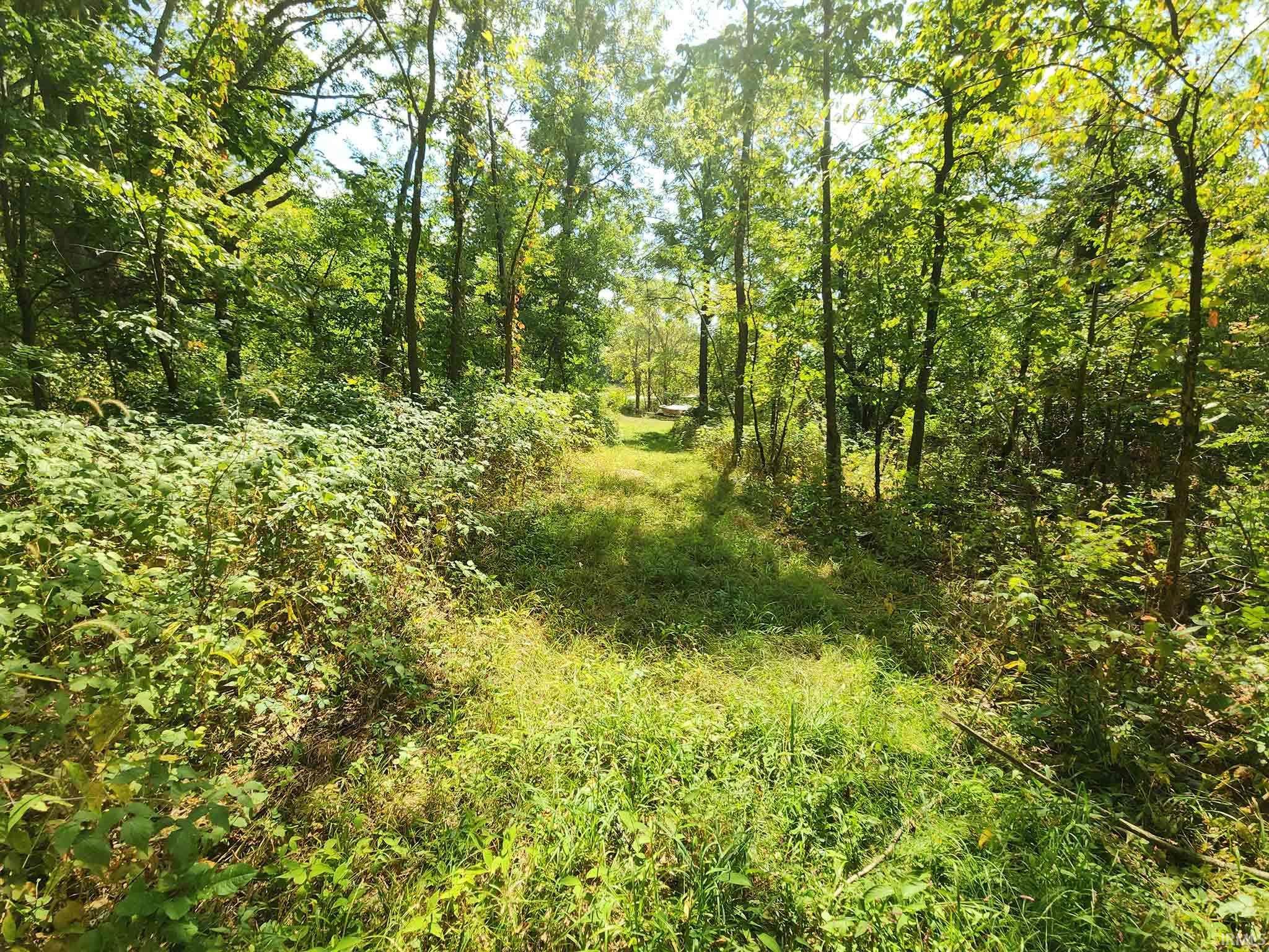 Area 1 - Northeast  woods mid through woods toward lodge.