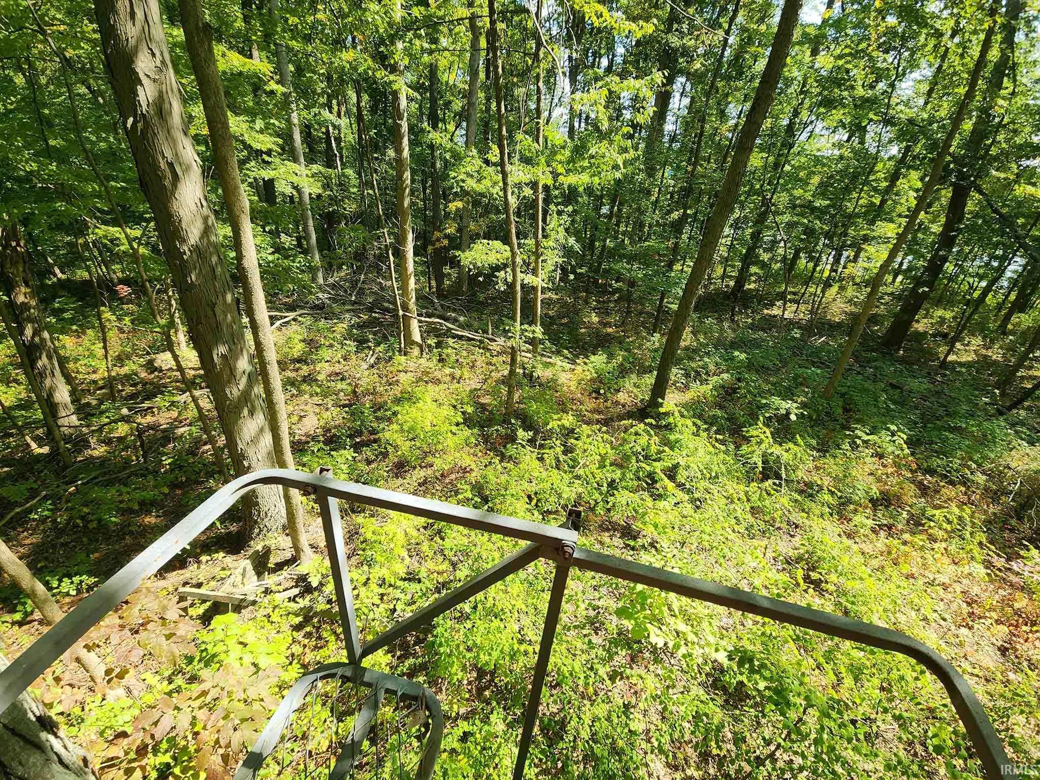 Area 1 - Northeast woods deer stand looking east toward lake.