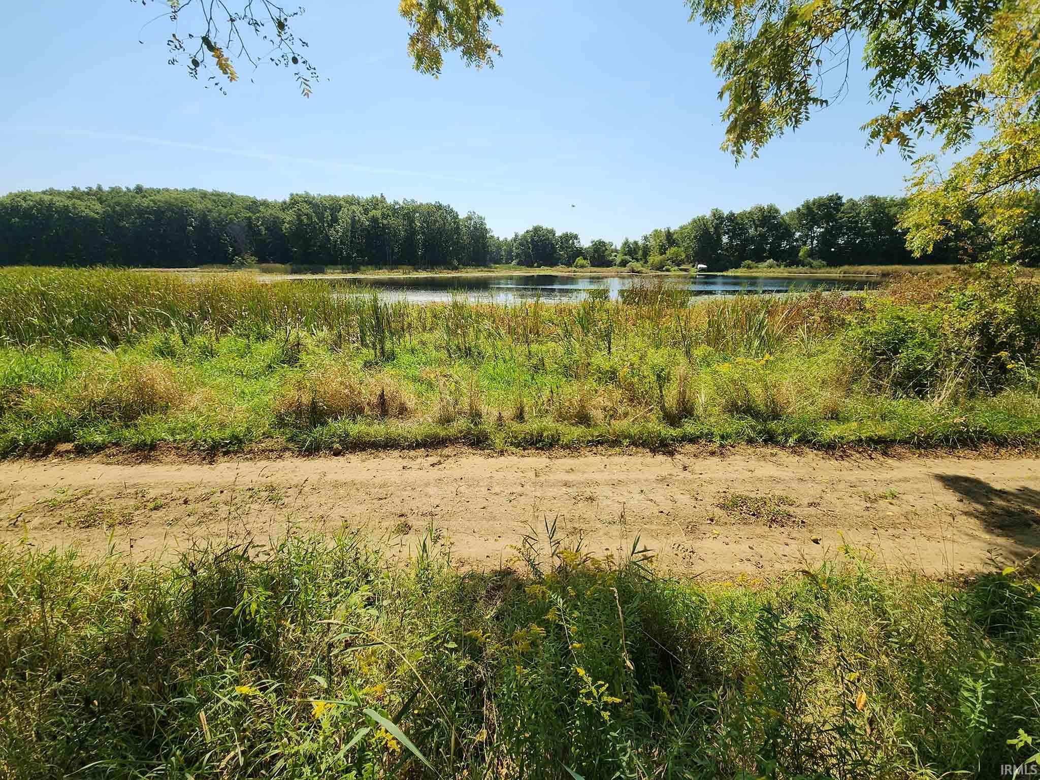 Area 3 - Drive looking south on north side of lake.