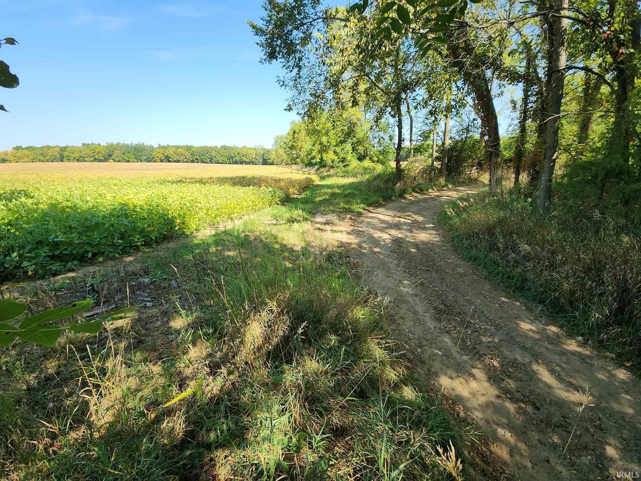 Area 3 - Drive looking northeast at field on north side of lake.