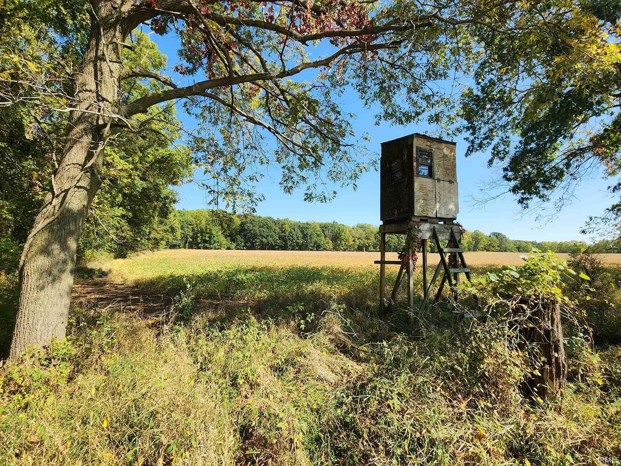 Area 3 - Dear stand enclosed on tree line.