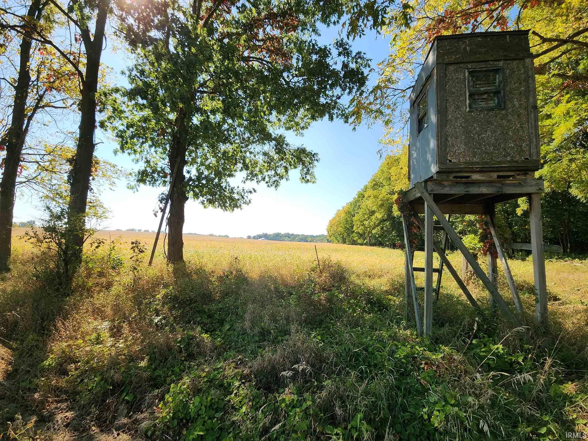 Area 6 - Deer stand looking west to field.