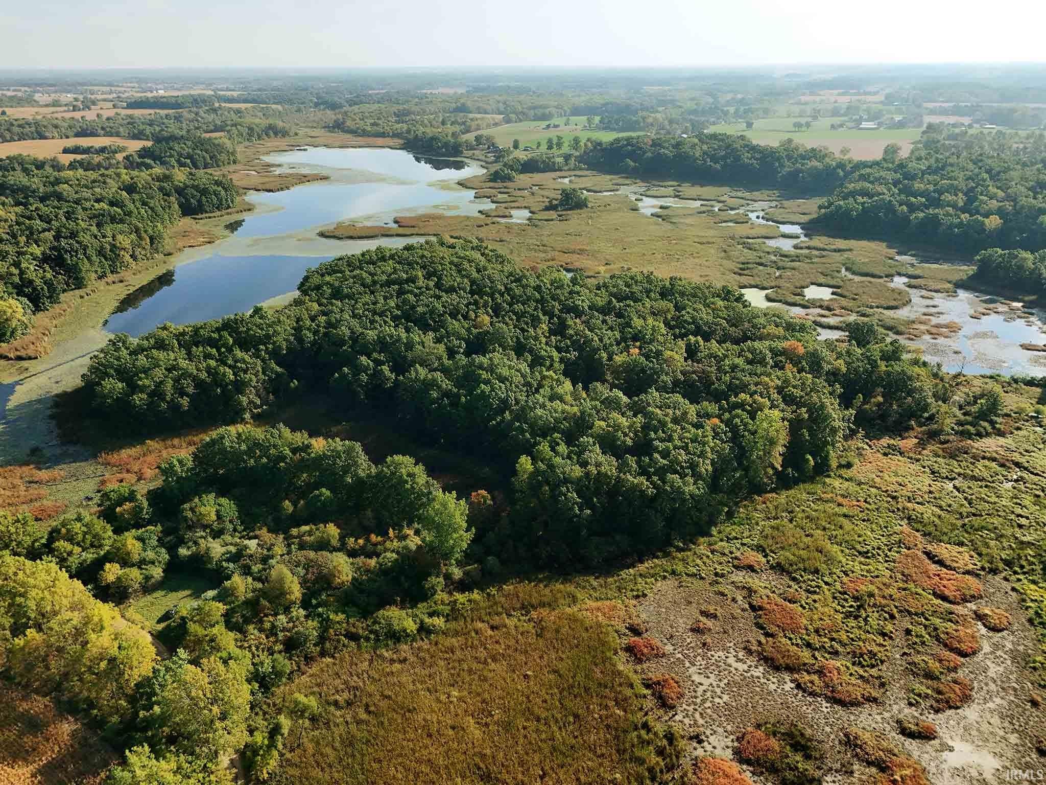 Area 2 - Looking east toward lakefront woods.