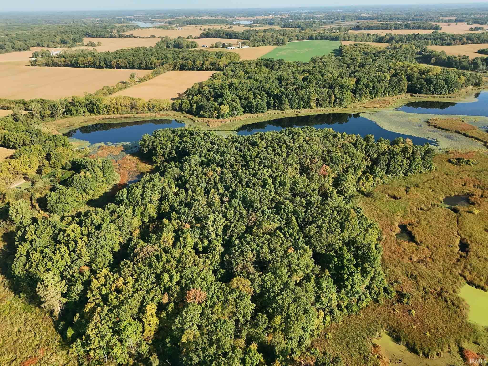 Area 2 - Looking north toward lakefront woods.