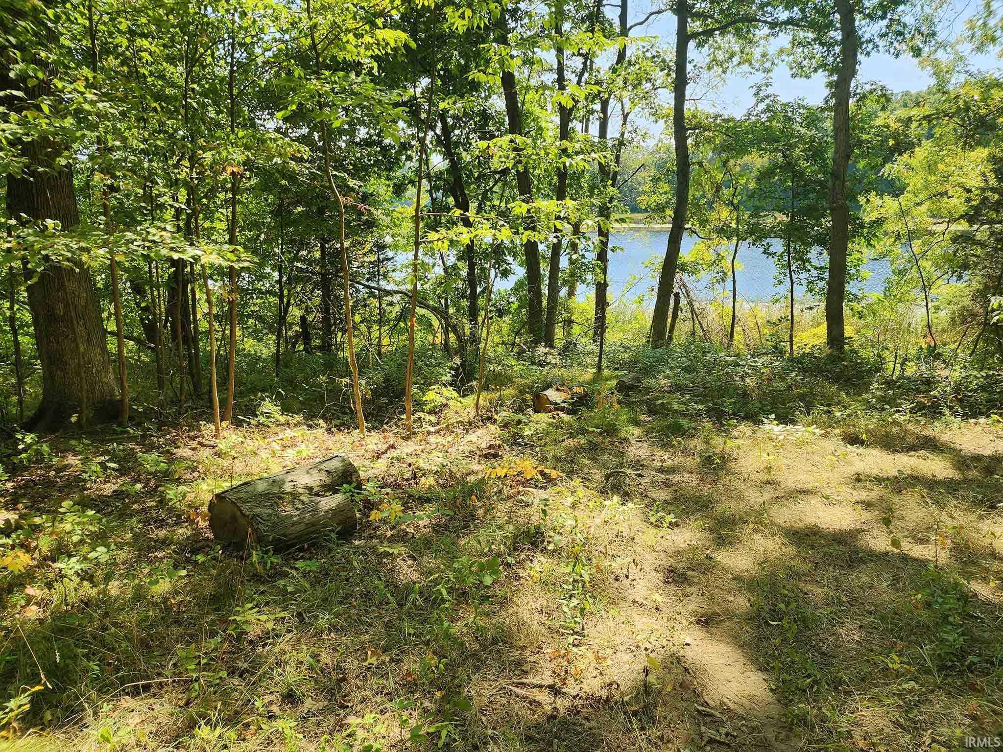 Path from Lodge ends in high wooded ground some approx 630 feet East of Lodge (Area 1 - NE woods path along lake.)