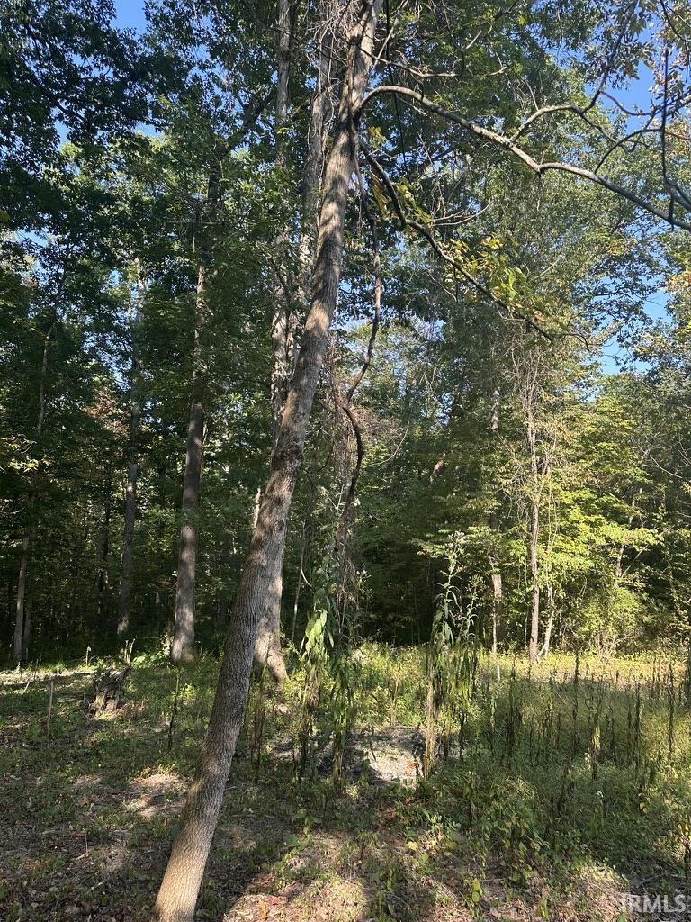 Homes for sale in Nashville, IN | 00 State Road 135 N Road, Nashville, IN 47448 | MLS# 202538248