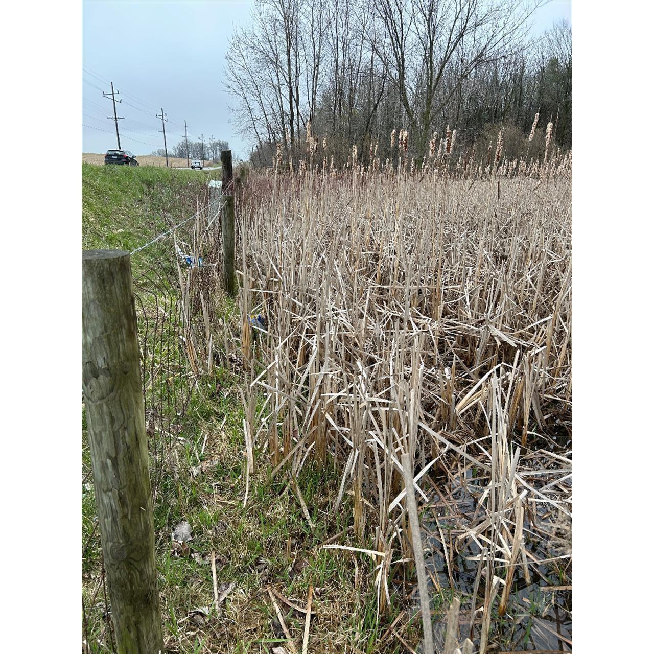 Photo 30 of 8230 N State Road 13