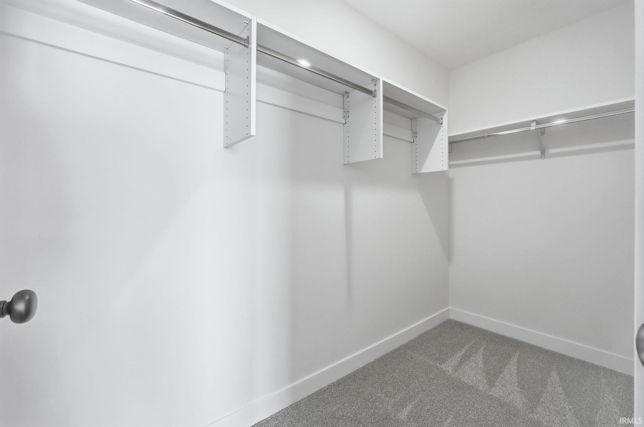 Spacious closet featuring carpet floors