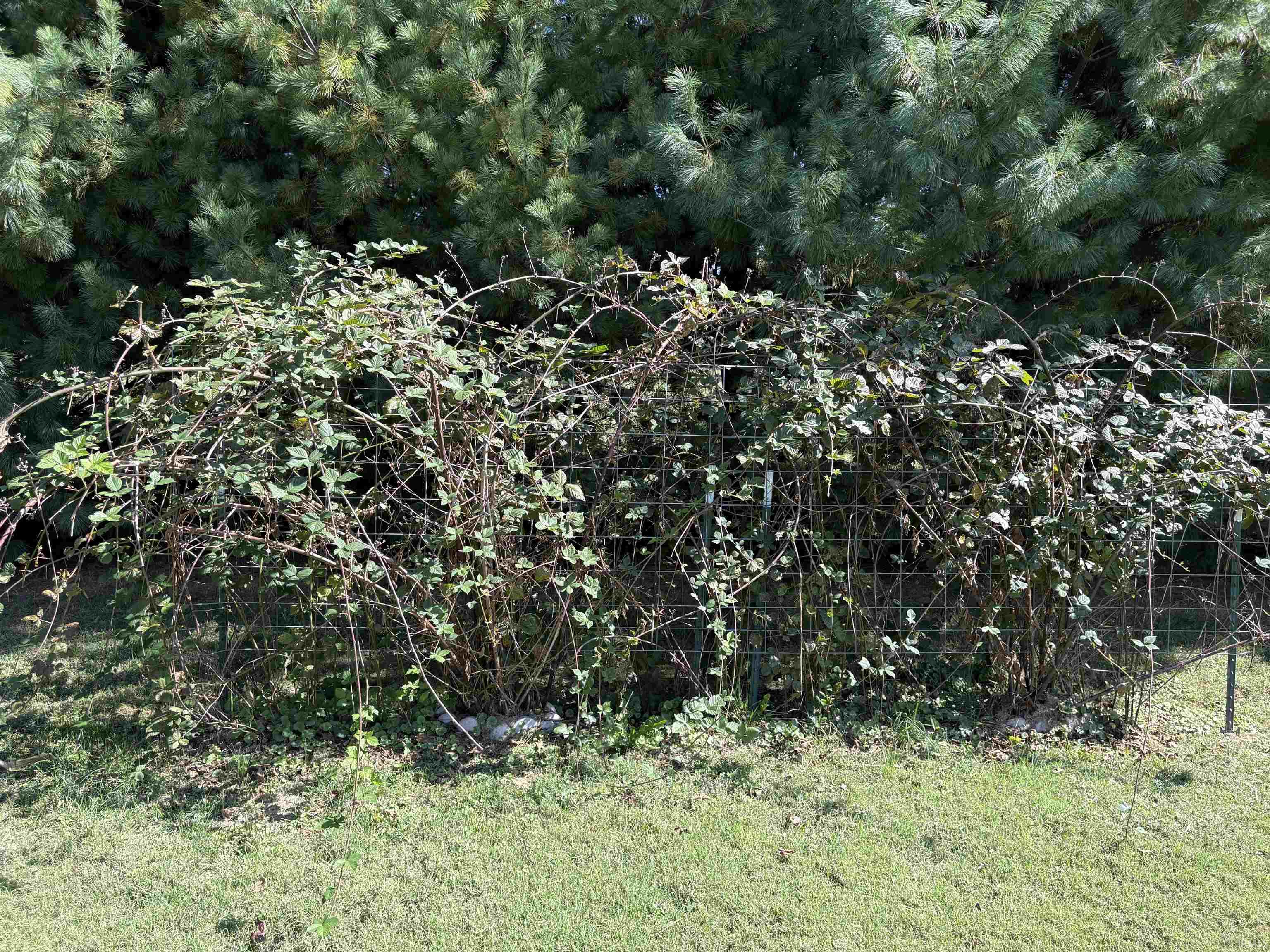 Homes for sale in Washington, IN | 1540 Troy Rd, Washington, IN 47501 | MLS# 202541062