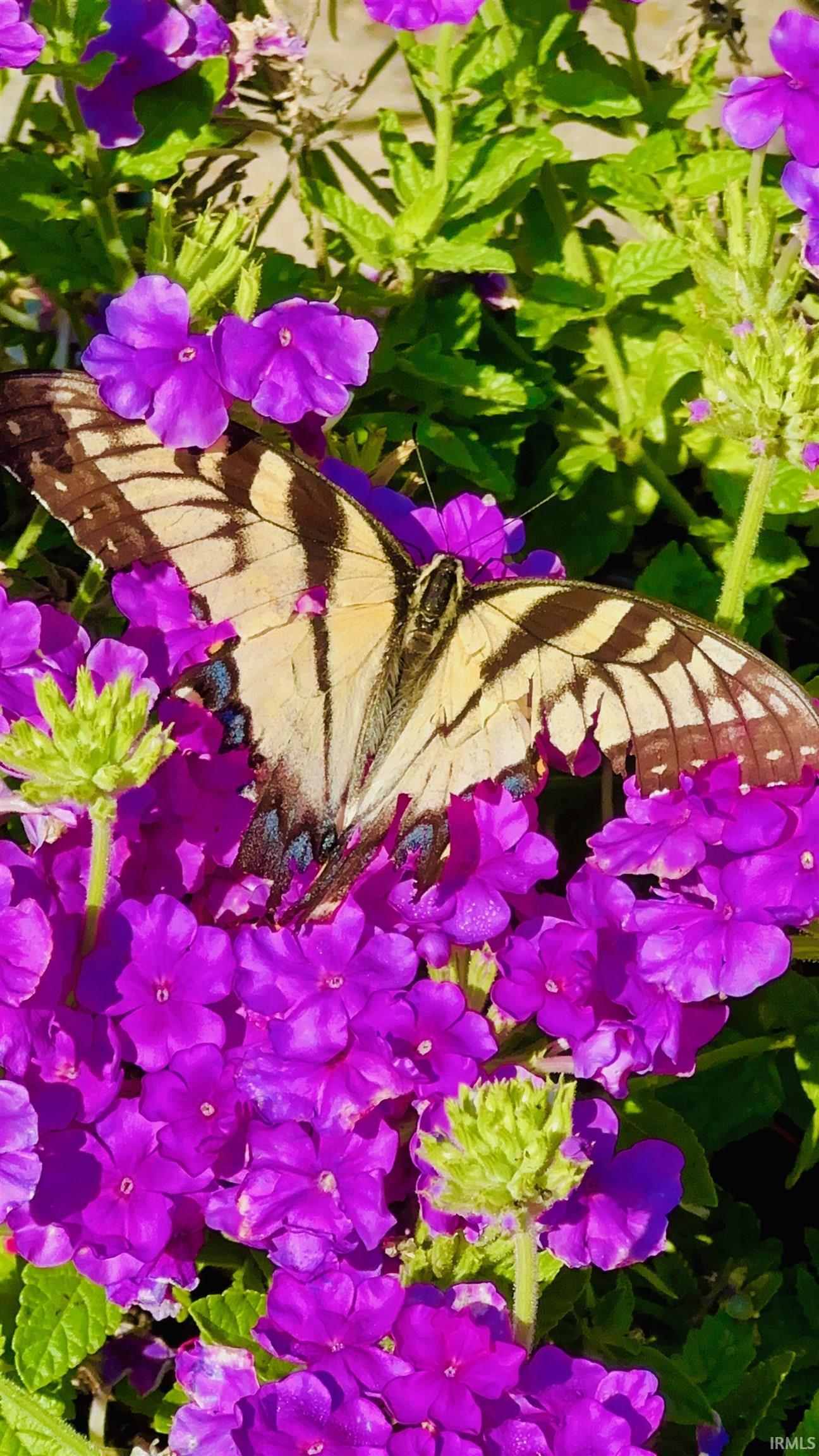 Photo 27 of 1503 Channel Court