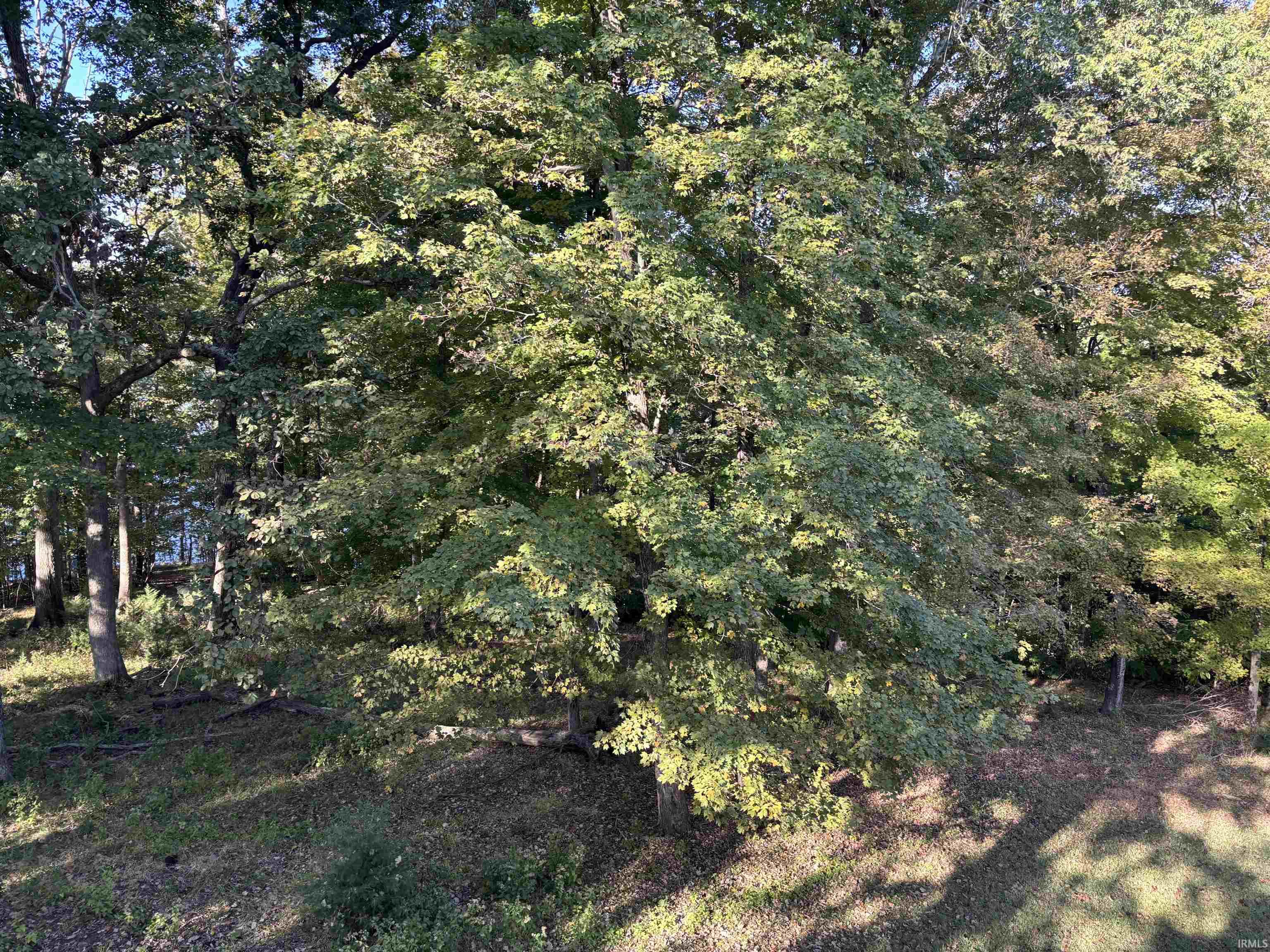 Homes for sale in Bloomington, IN | 1925 E Waters Edge Dr, Bloomington, IN 47401 | MLS# 202541614