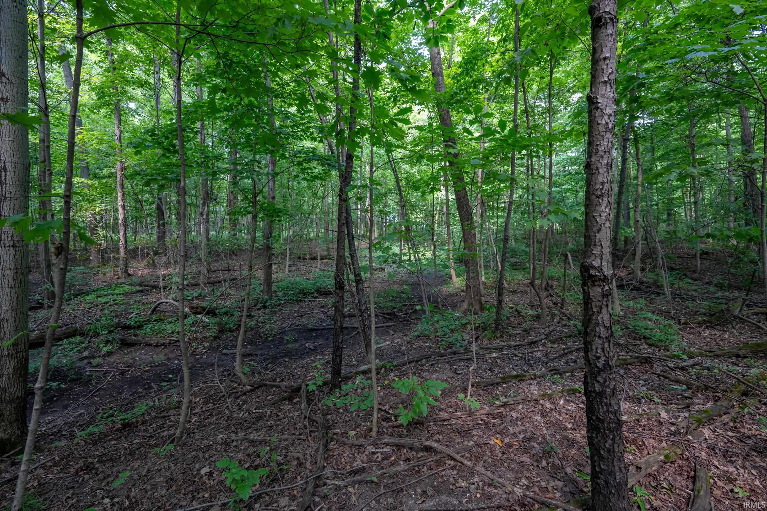 Photo 33 of 2605 W Dupont Road