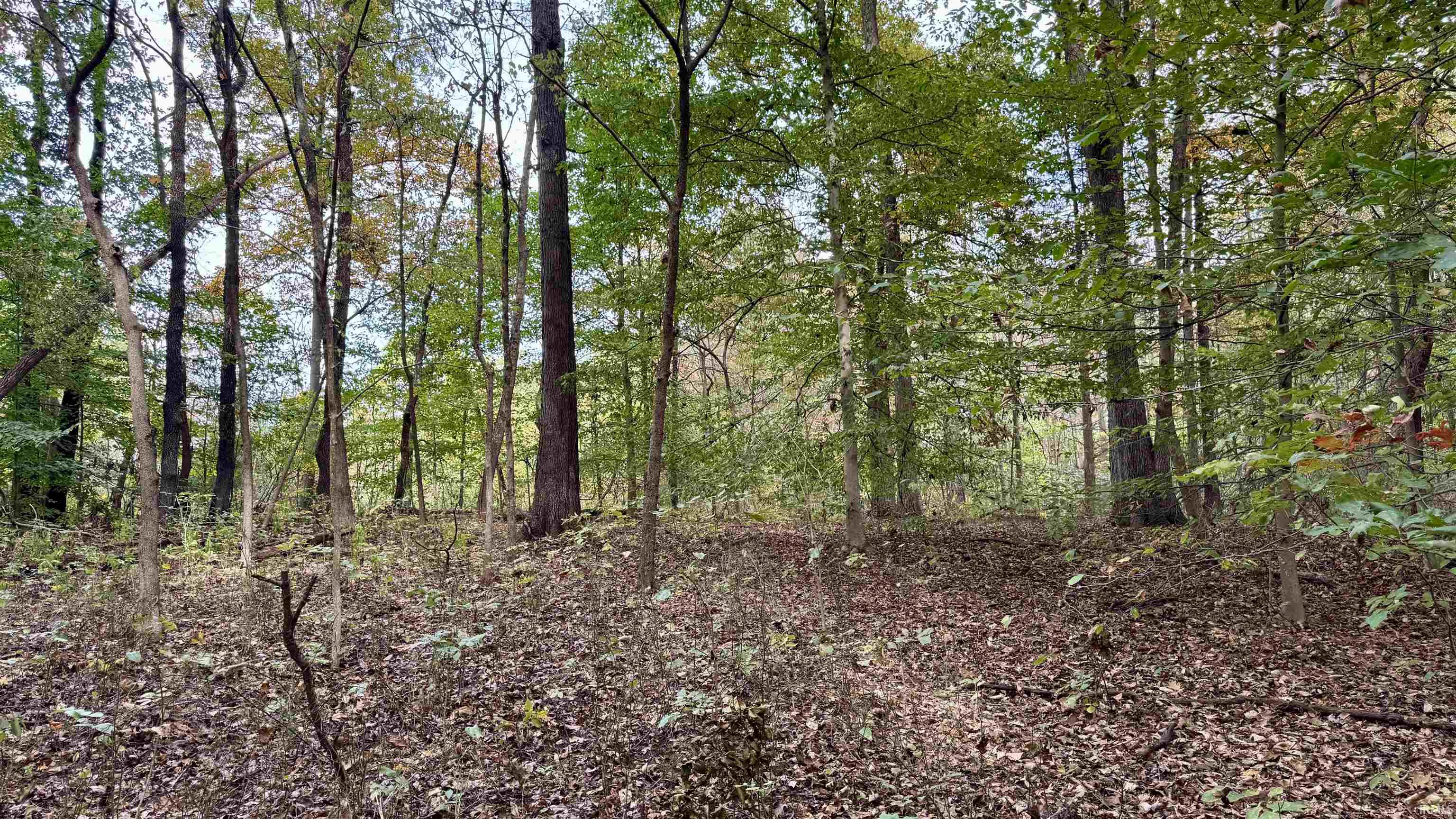 Homes for sale in Mitchell, IN | 950 Earl Rd, Mitchell, IN 47446 | MLS# 202542612