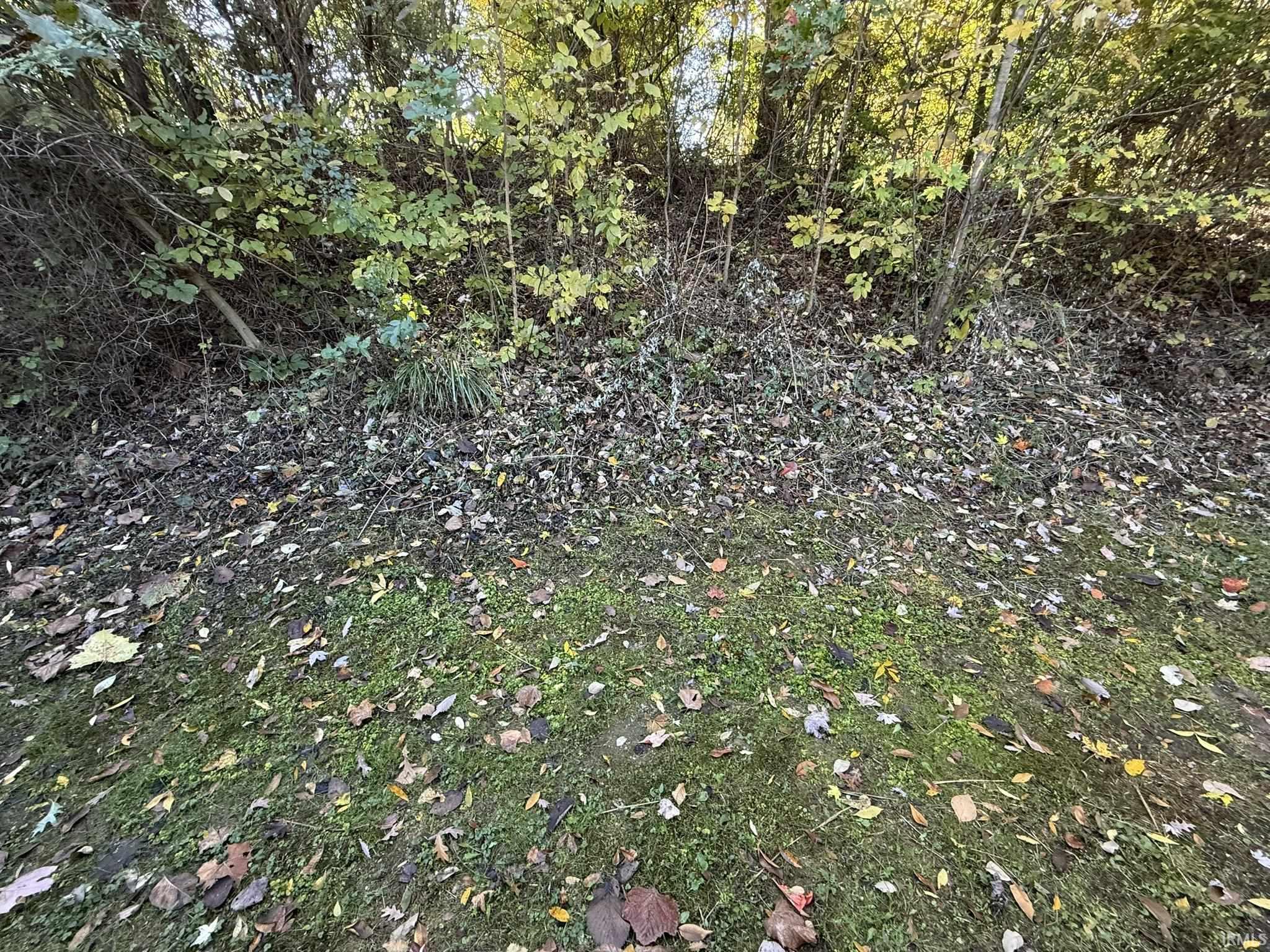 Homes for sale in Ellettsville, IN | 1016 N Forest View Dr, Ellettsville, IN 47429 | MLS# 202542717