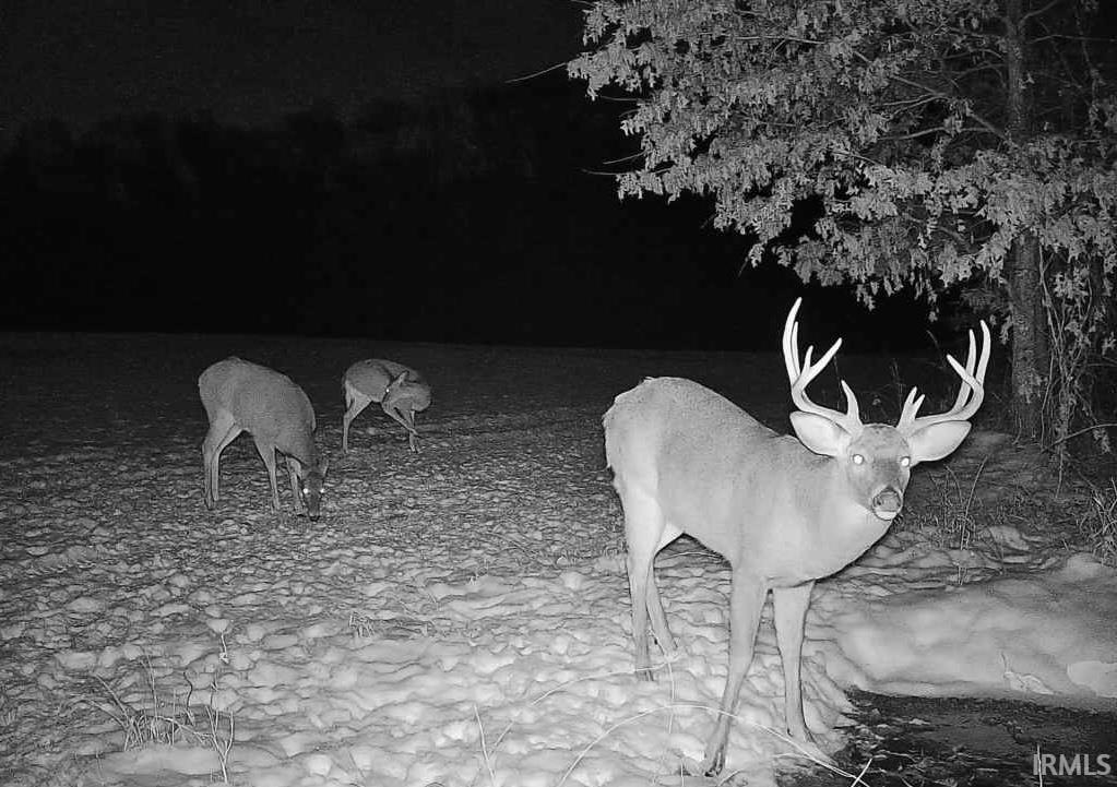 Photo 35 of 52478 County Road 39