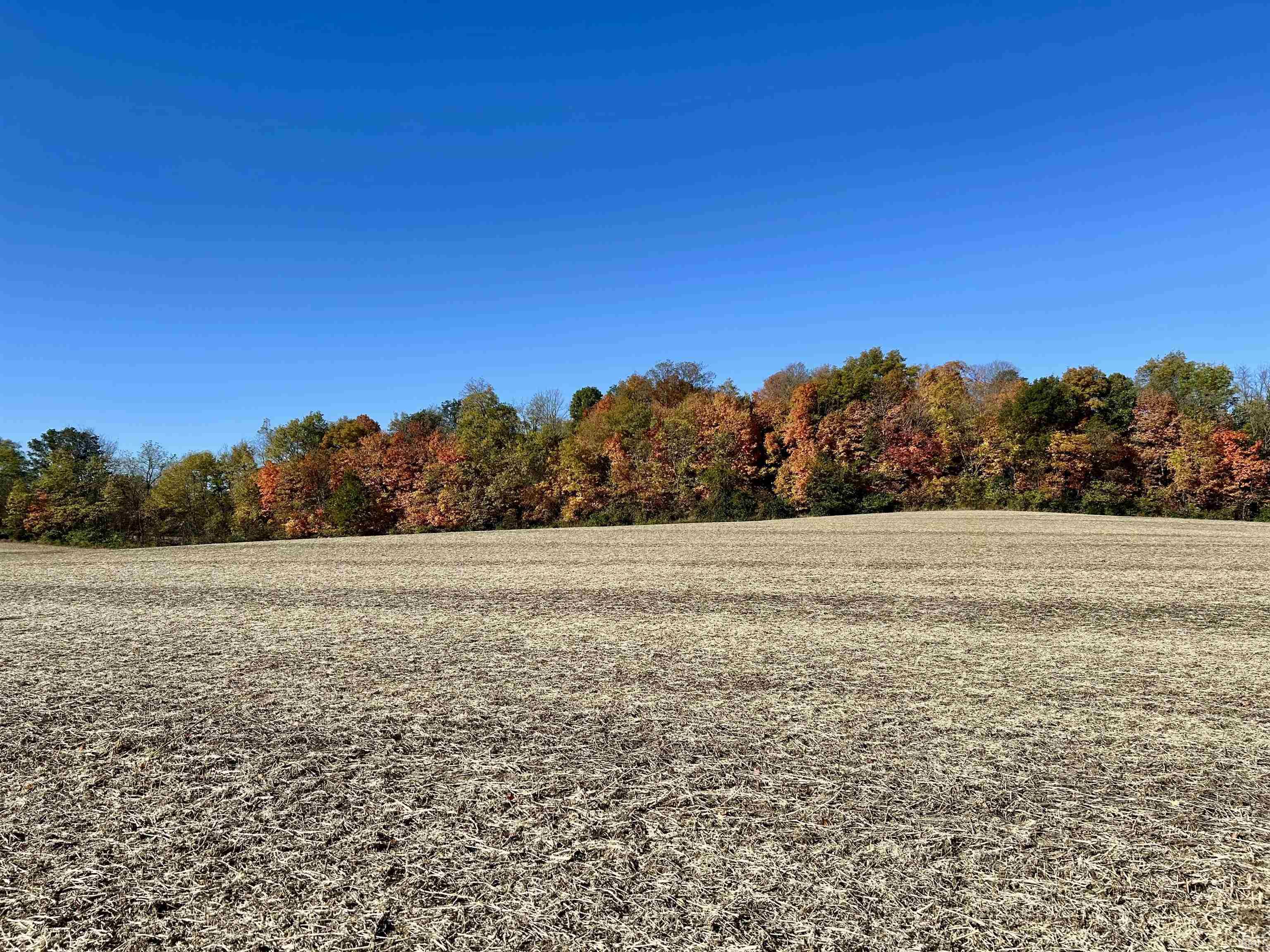 Homes for sale in Albany, IN | Sr 167, Albany, IN 47320 | MLS# 202543085