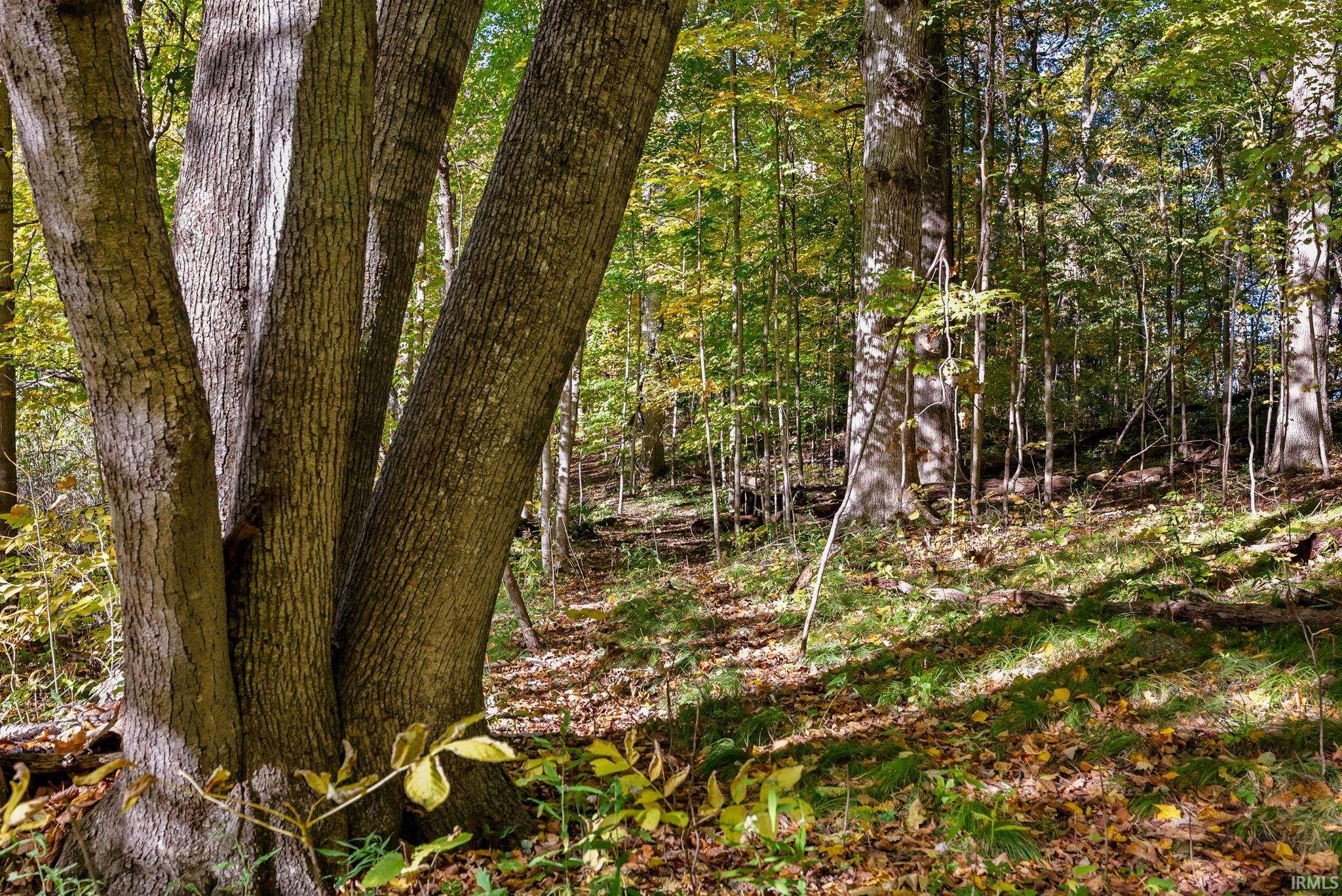 Photo 28 of 2142 S State Road 5 57