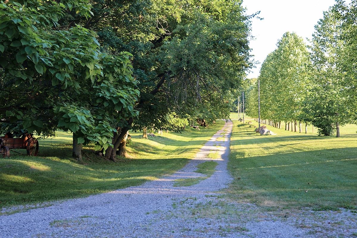 Photo 12 of 7382 E 750 S Road