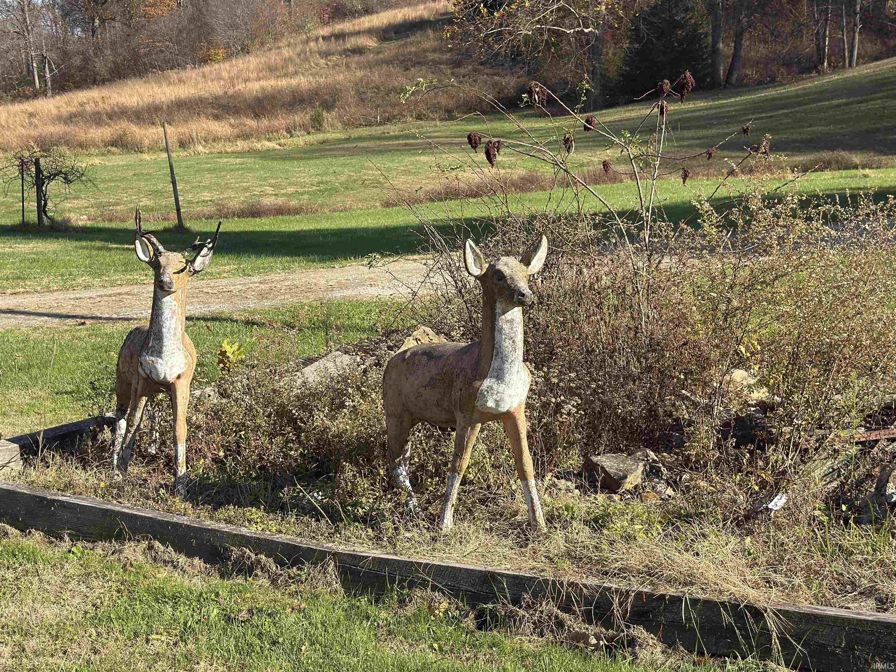 Homes for sale in Springville, IN | 4307 S Owensburg Rd, Springville, IN 47462 | MLS# 202543804