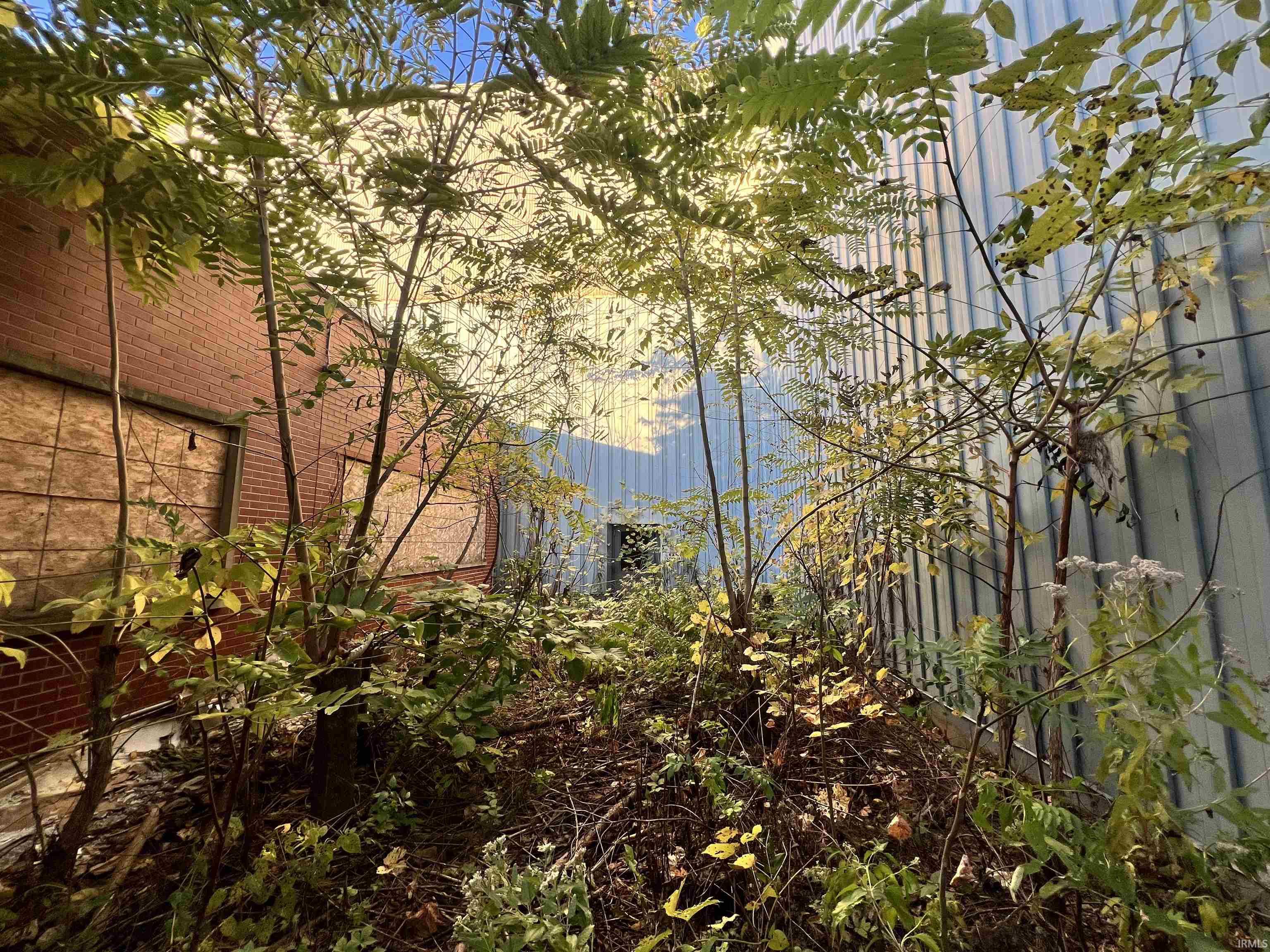 Photo 25 of 929 N Michigan Street