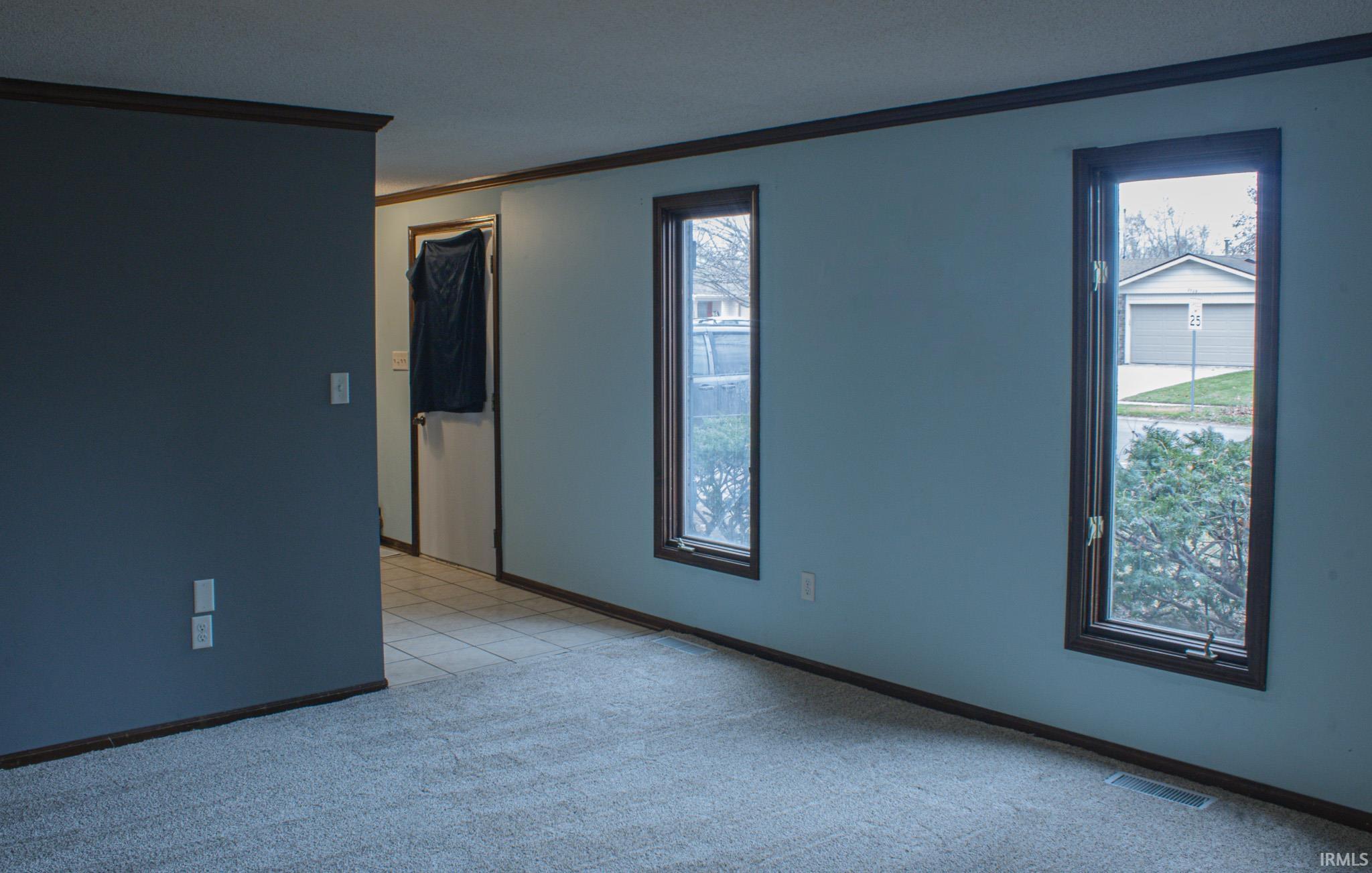 Spare room featuring ornamental molding and light colored carpet