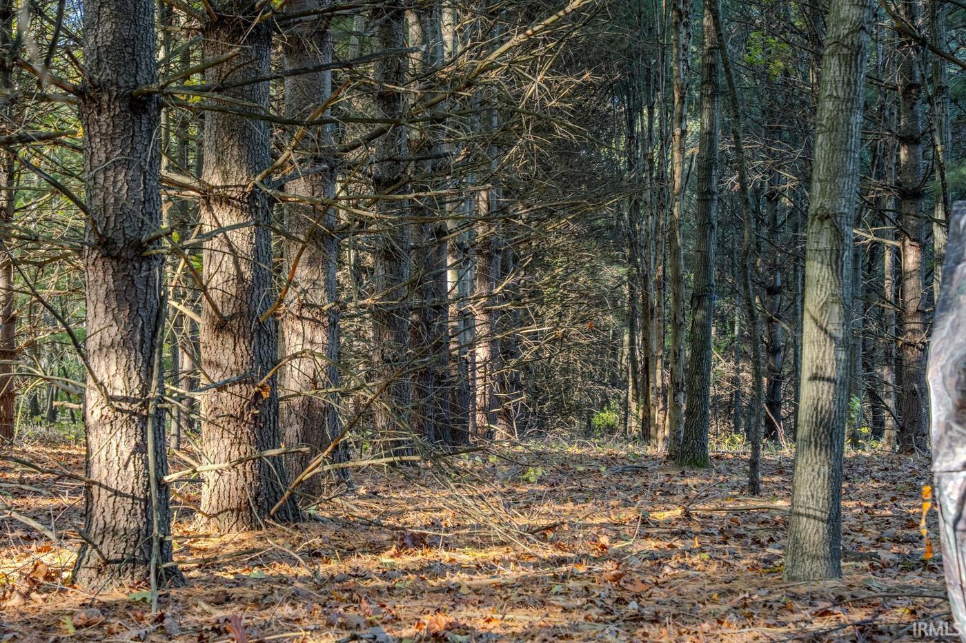 Photo 10 of 51272 County Road 7