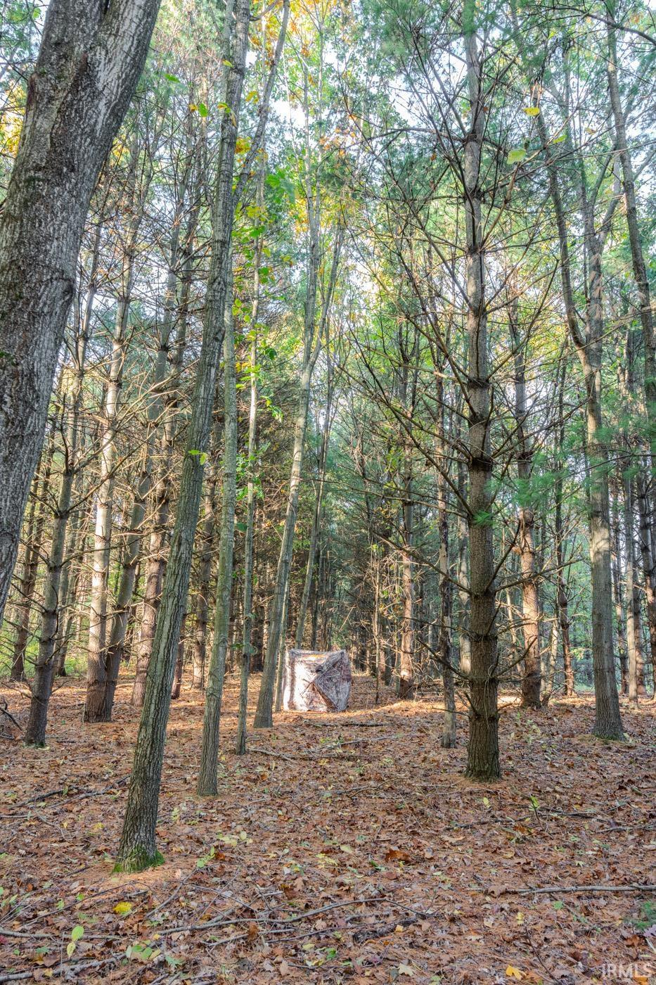 Photo 9 of 51272 County Road 7