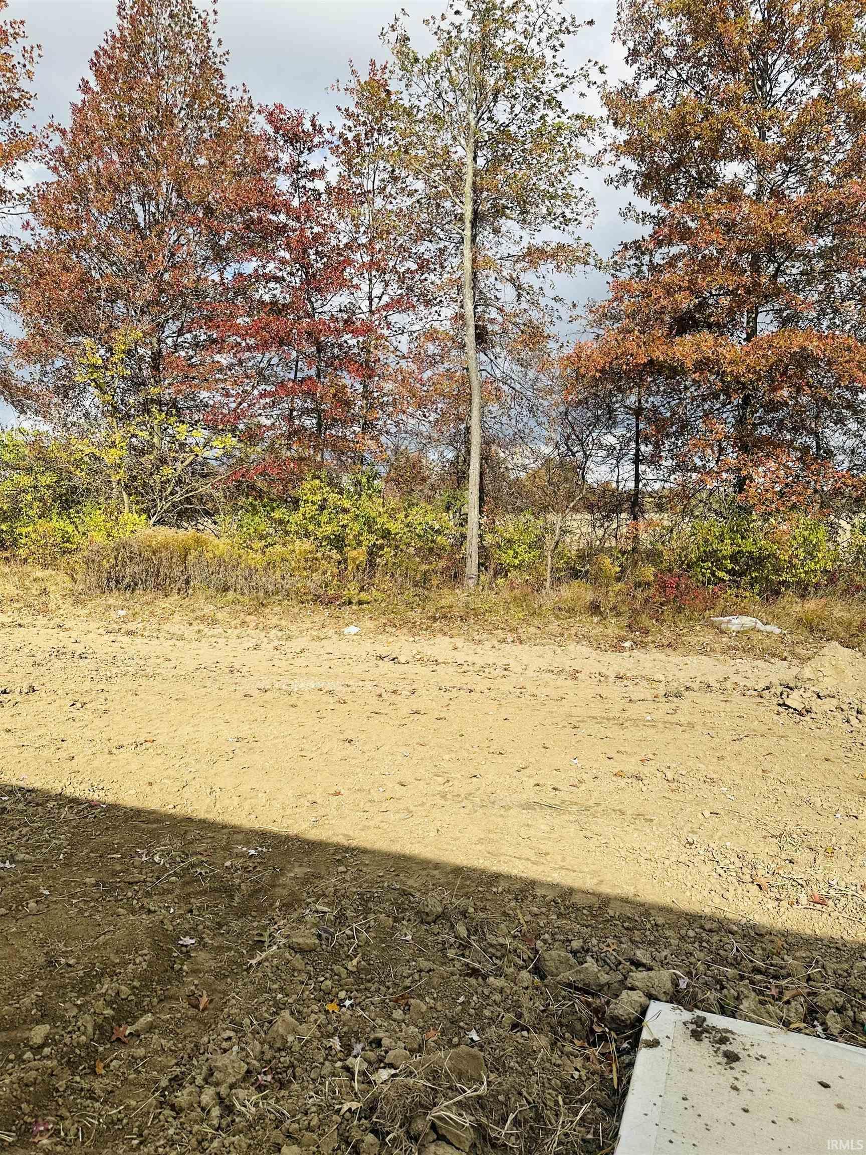 Photo 7 of 10249 Tirian Place