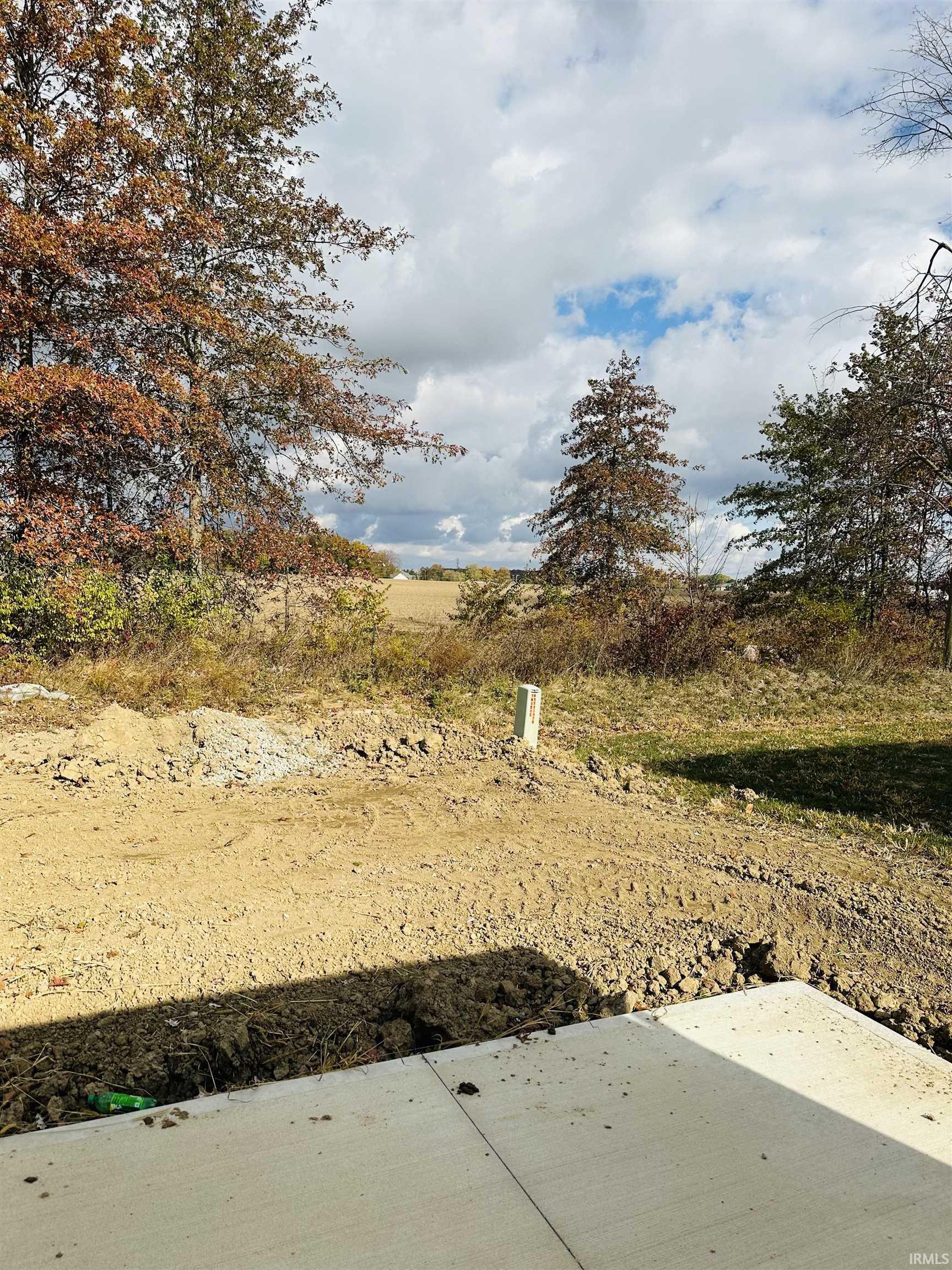 Photo 8 of 10249 Tirian Place