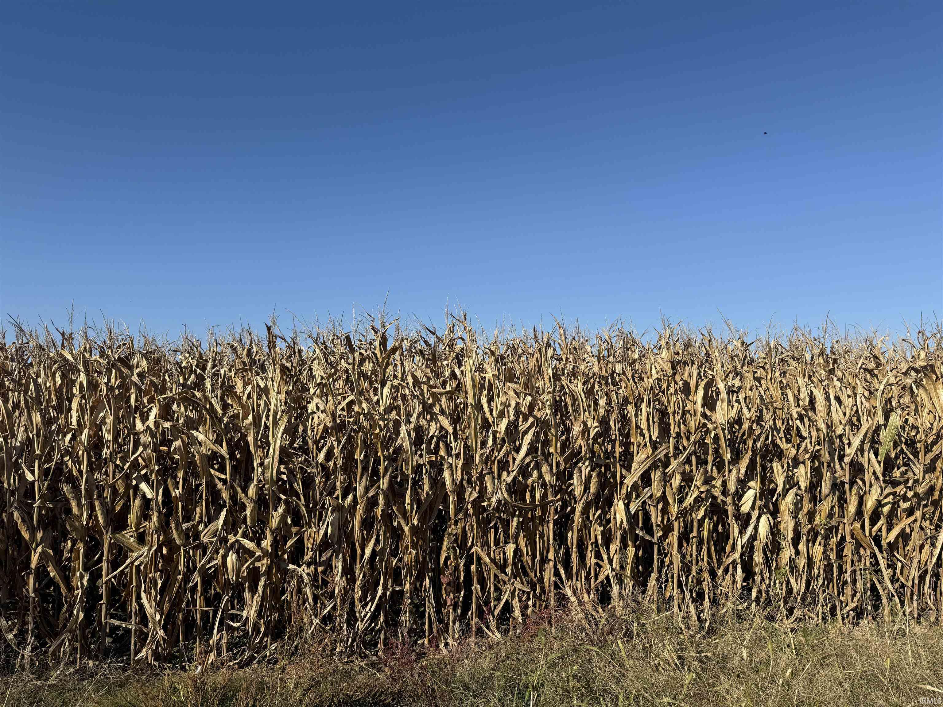 Homes for sale in Haubstadt, IN | 0000 Mann Rd, Haubstadt, IN 47639 | MLS# 202544403