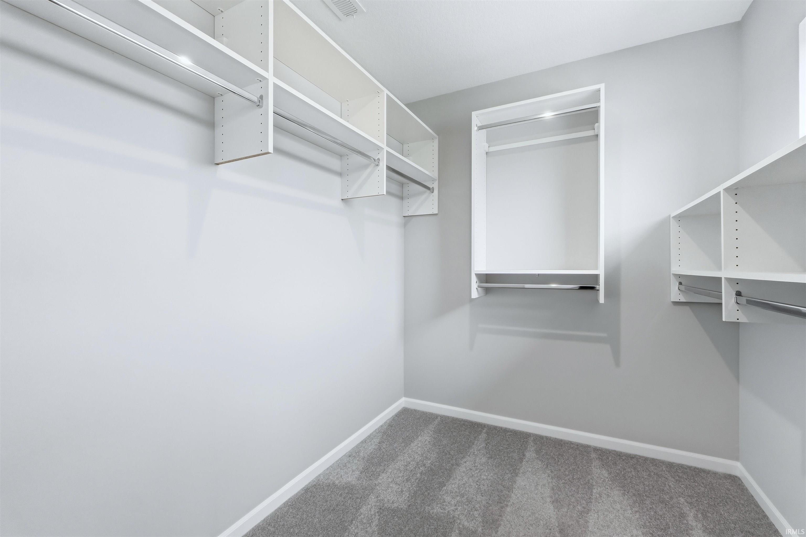 Owner Suite Walk-in closet featuring carpet