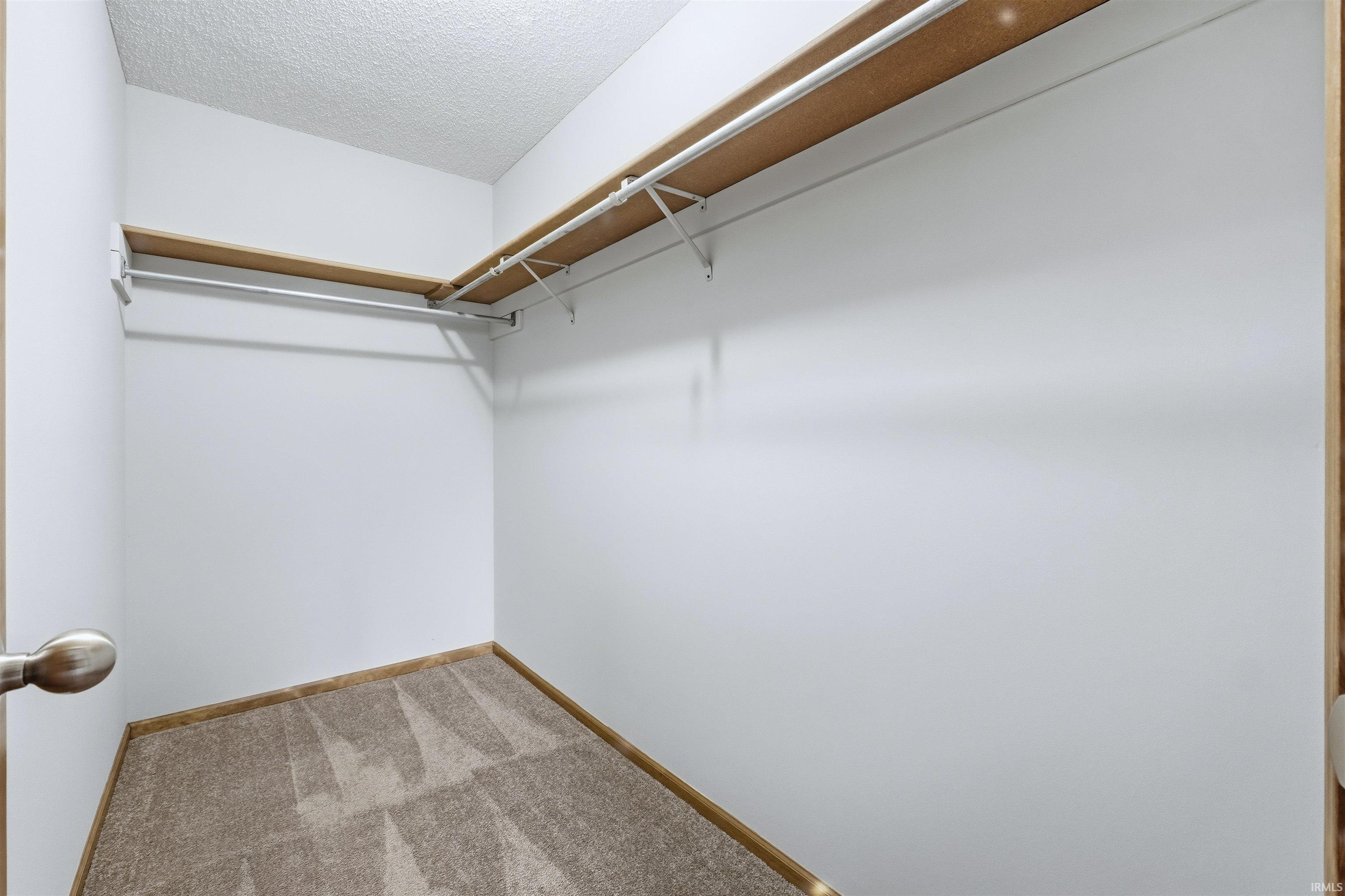 Owner Suite Walk in closet with carpet