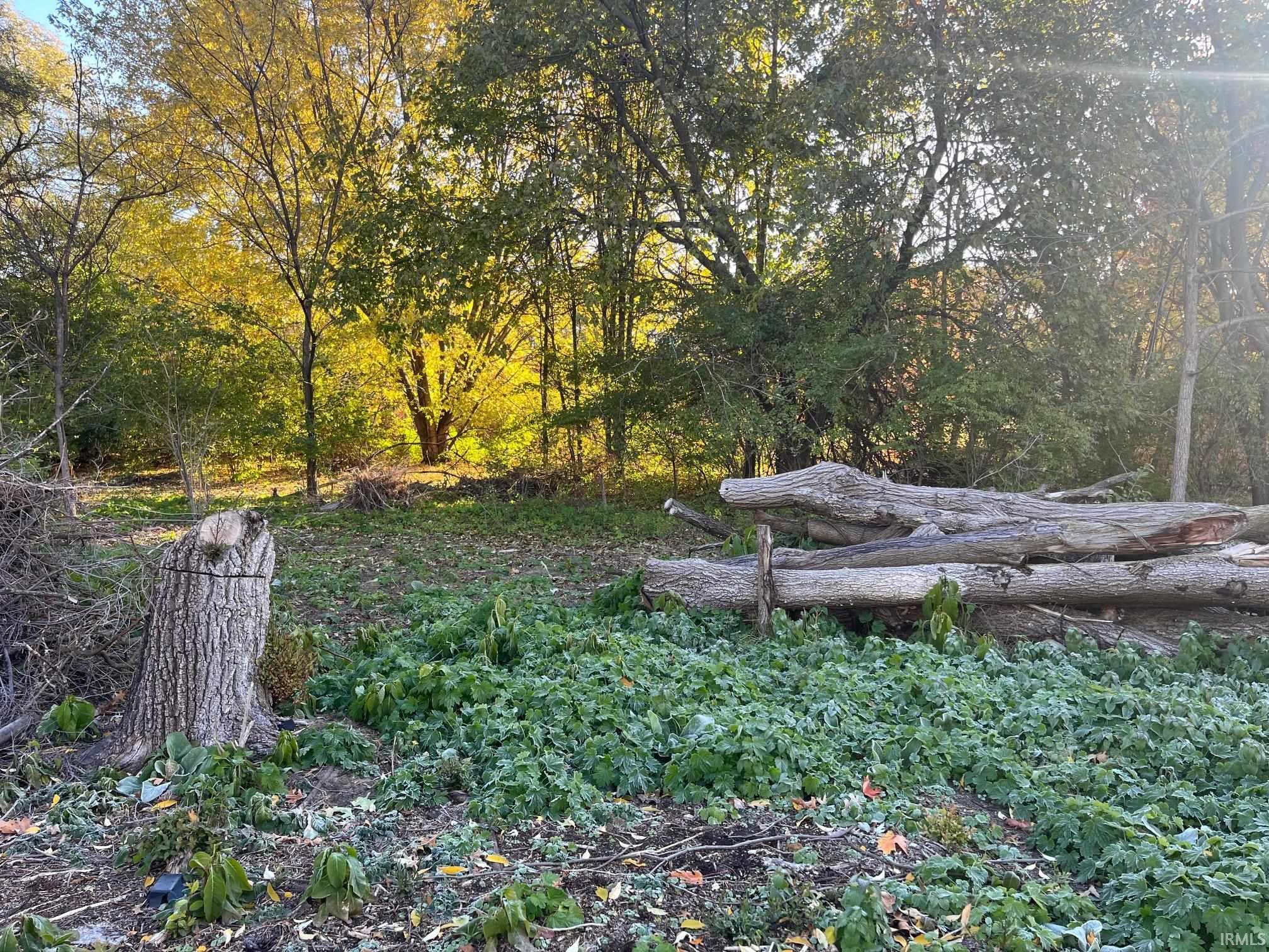 Photo 10 of 53598 Hickory Lane