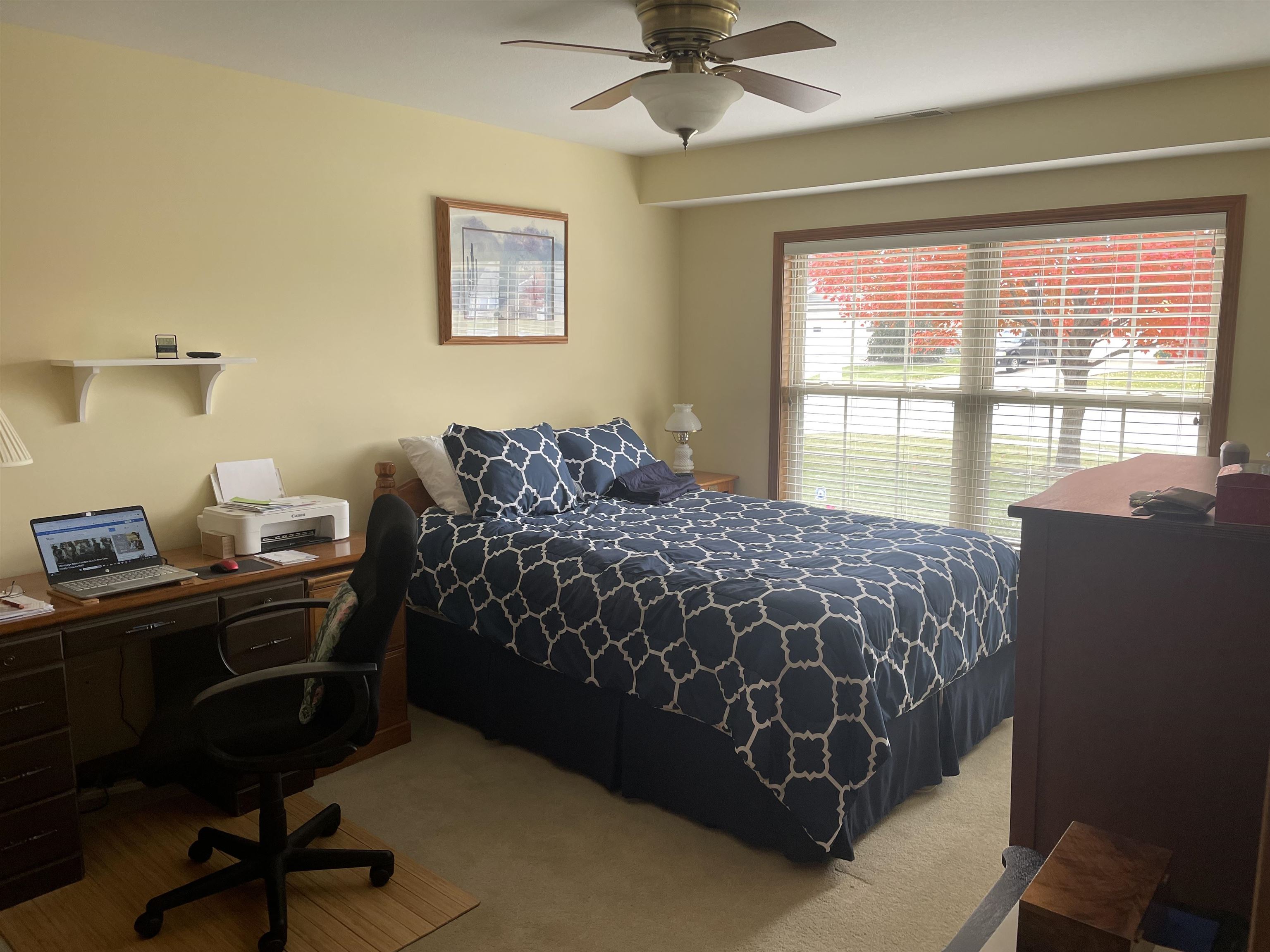 Photo 29 of 223 Coronet Street