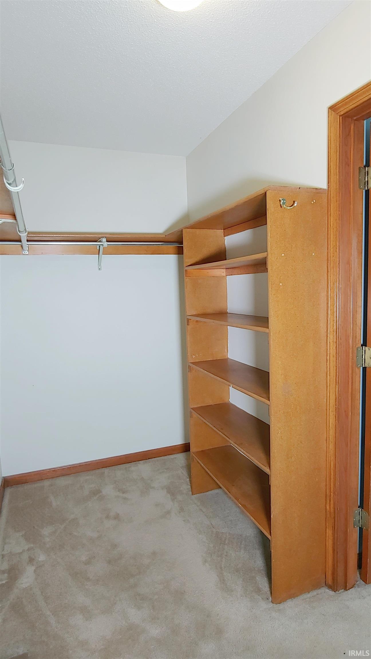 Spacious closet with shelving