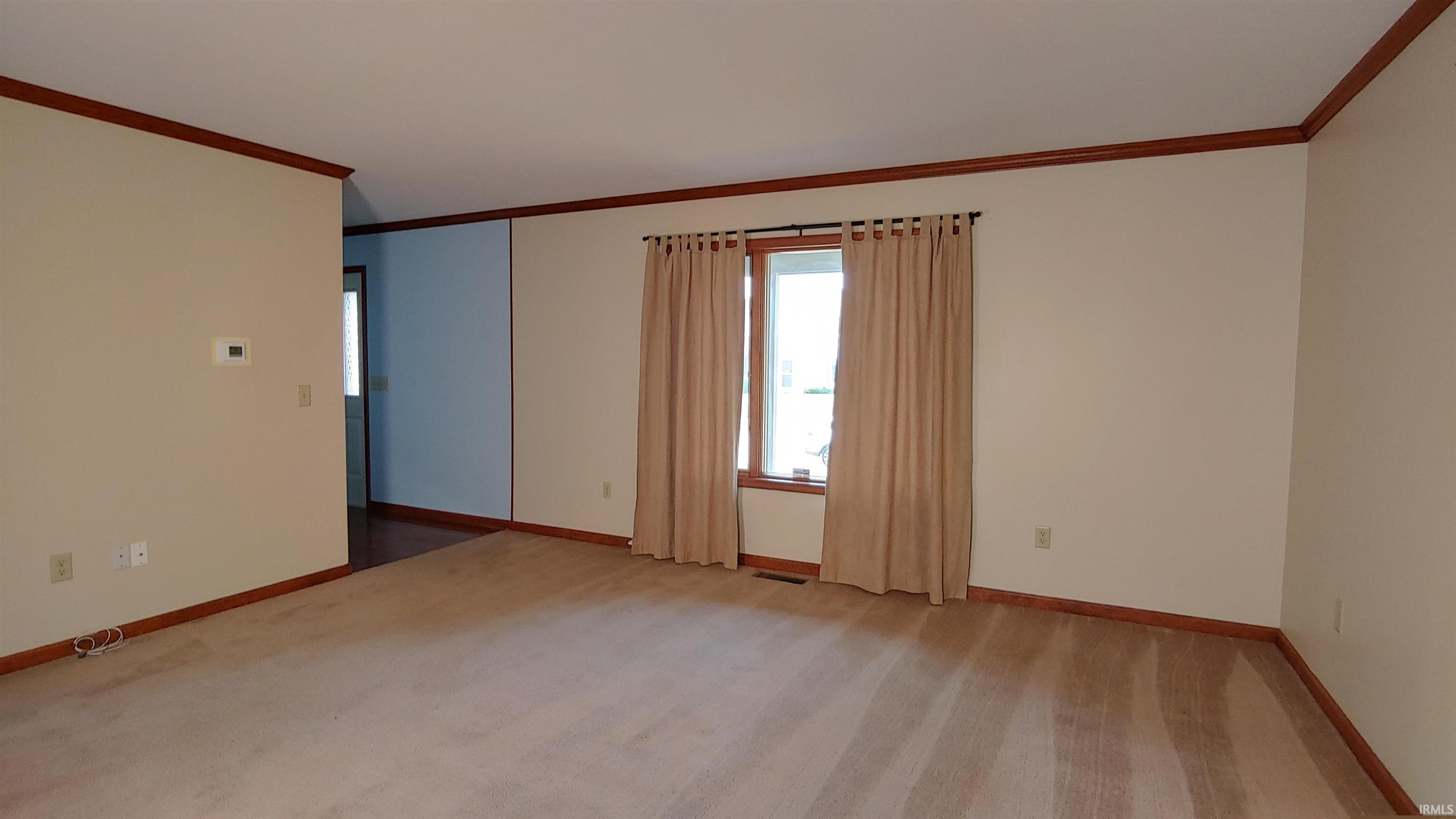 Livingroom featuring crown molding and carpet