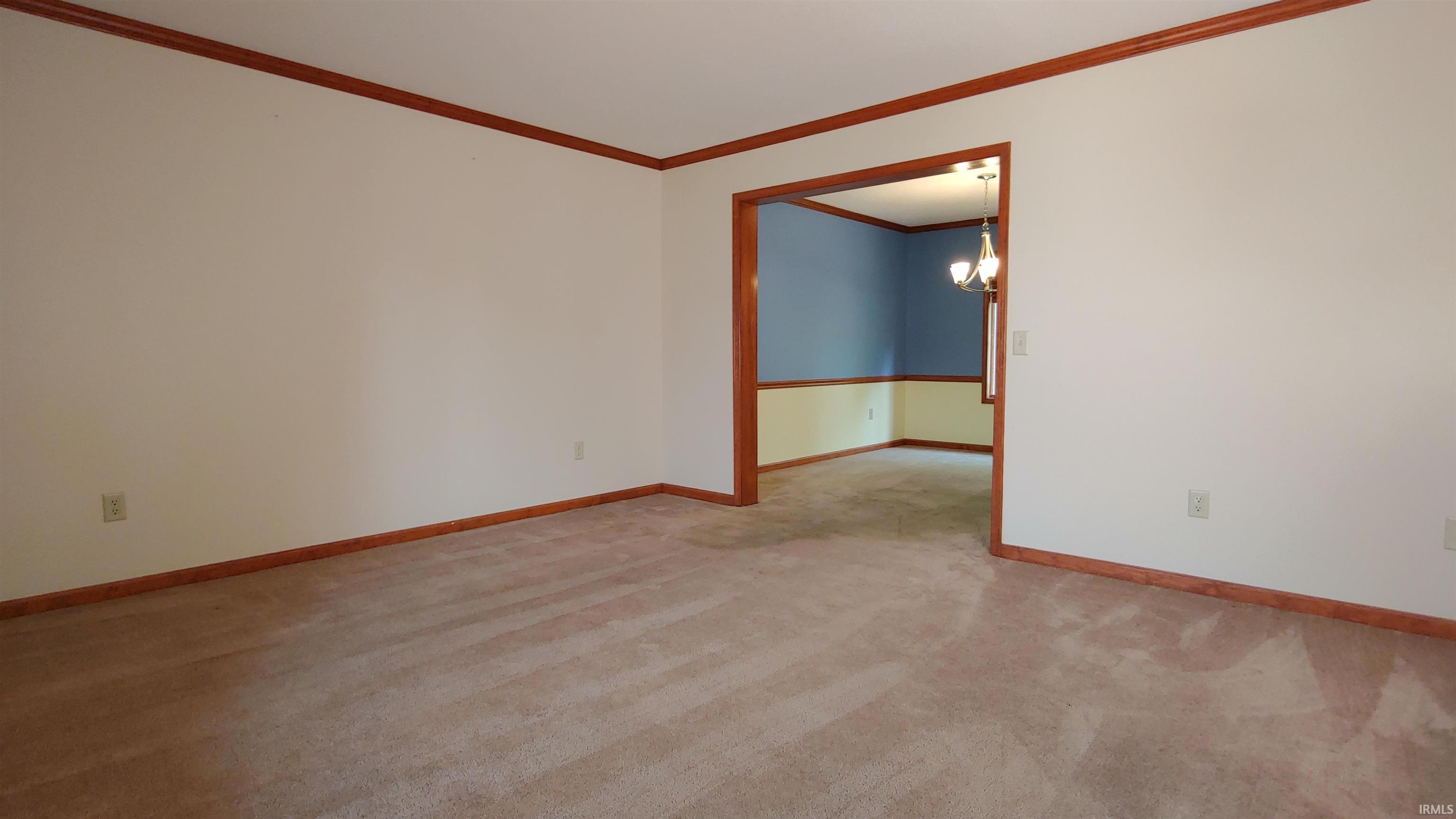 Livingroom featuring crown molding and carpet