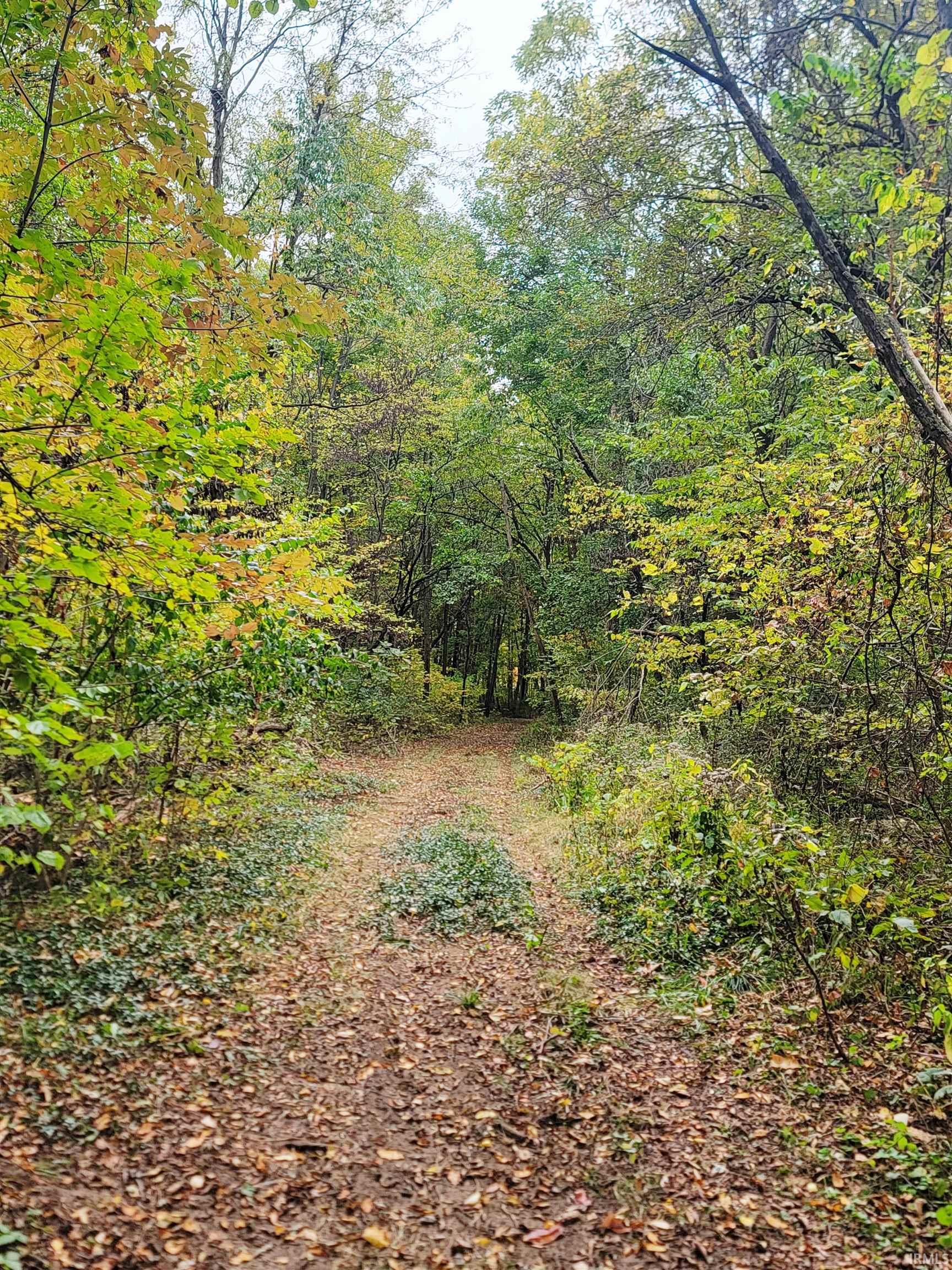 Homes for sale in Bristol, IN | County Road 8 Rear, Bristol, IN 46507 | MLS# 202545066