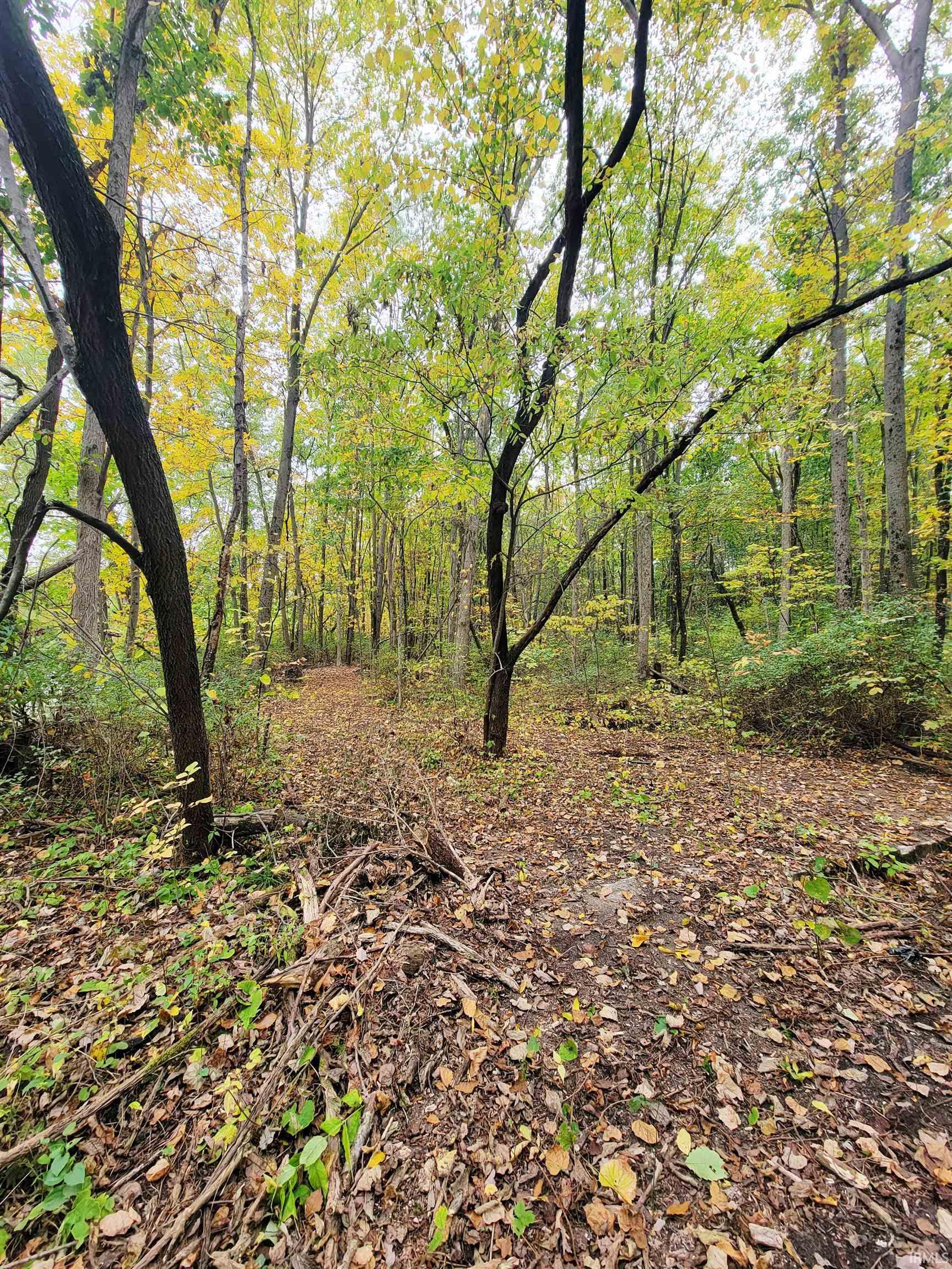 Homes for sale in Bristol, IN | County Road 8 Rear, Bristol, IN 46507 | MLS# 202545066