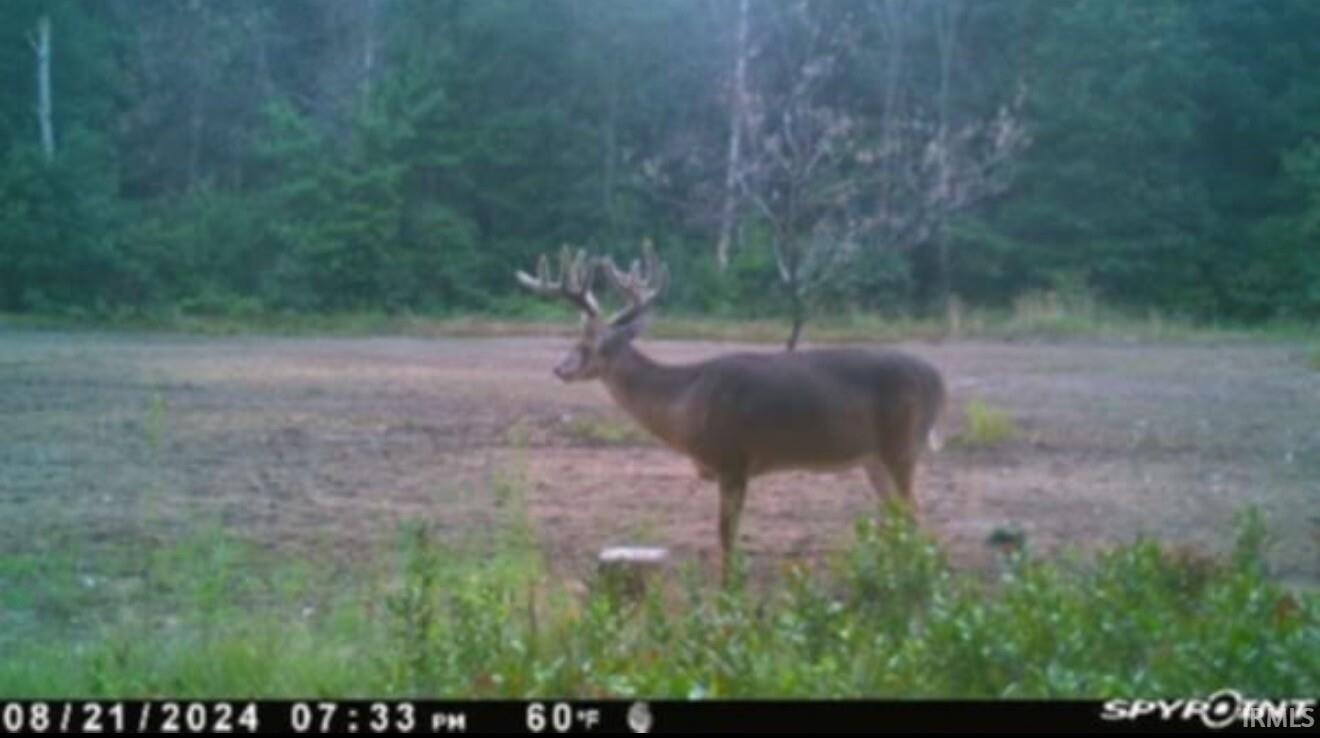 Homes for sale in Knox, IN | V/l E 100 N, Knox, IN 46534 | MLS# 202545107