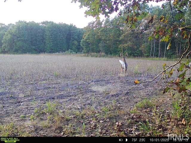 Homes for sale in Knox, IN | V/L E 100 N, Knox, IN 46534 | MLS# 202545107