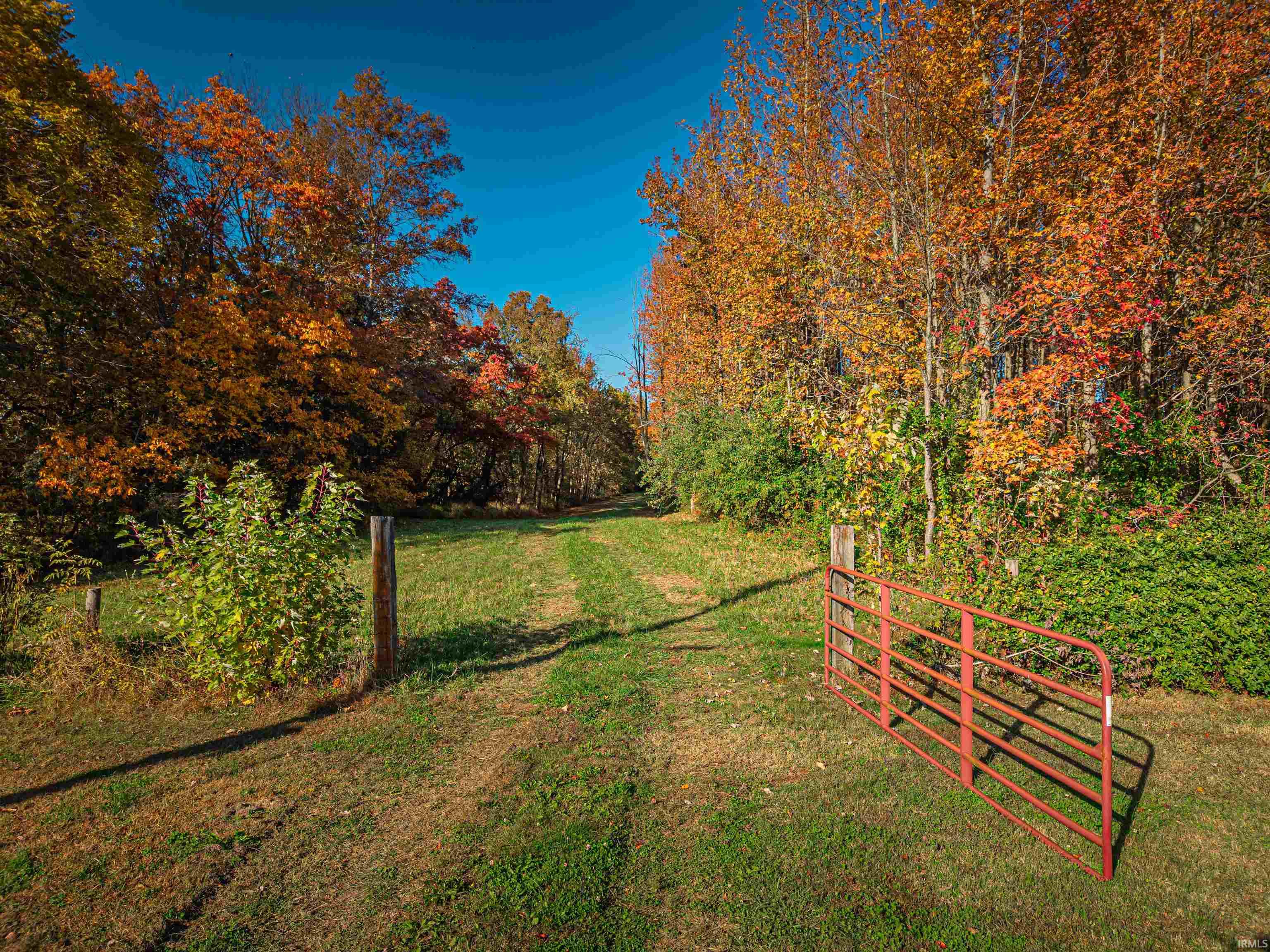 Homes for sale in Henderson (ky), KY | 8381 State Route 351 Hwy, Henderson (ky), KY 42420 | MLS# 202545613